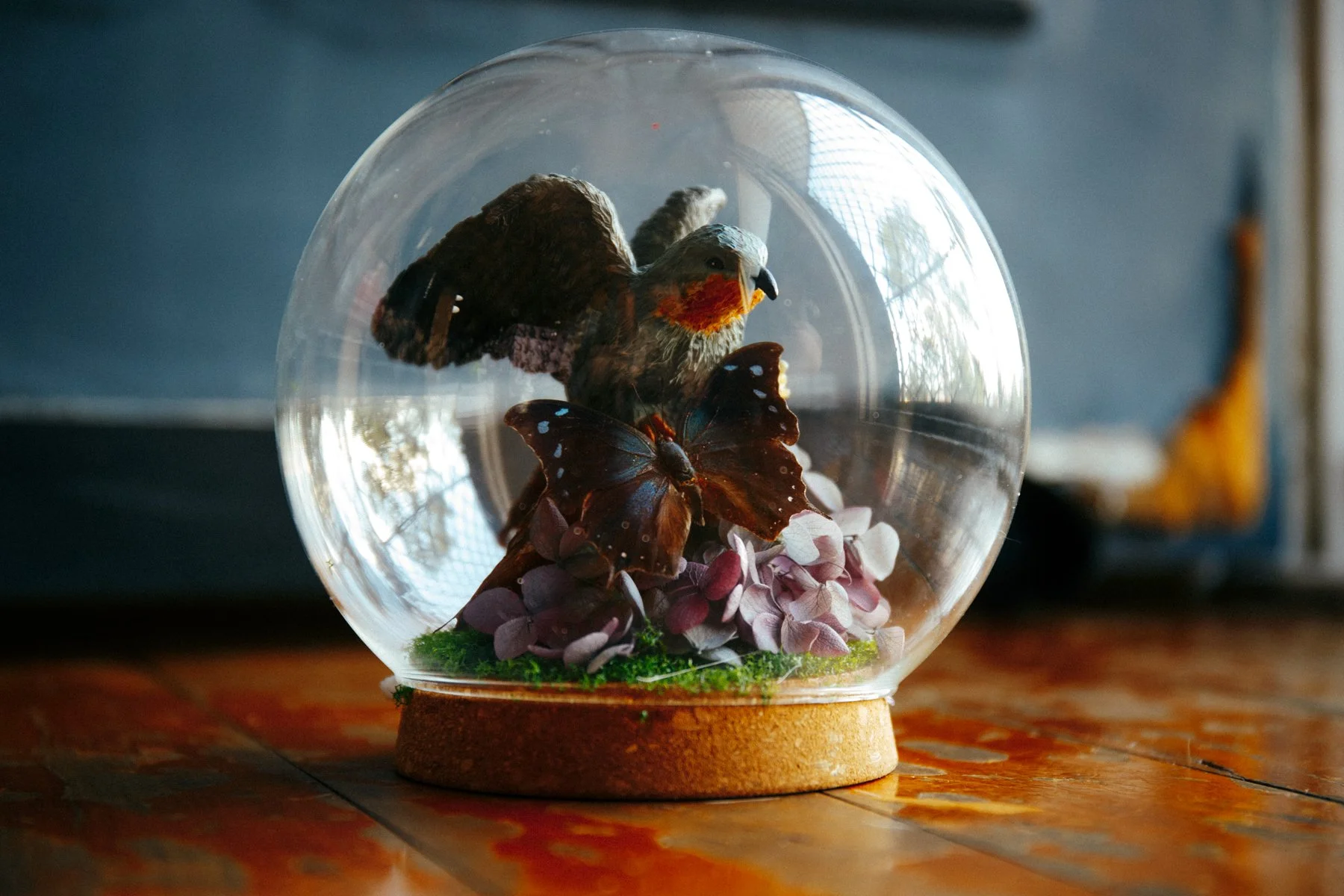 070226 (29 of 30).jpg