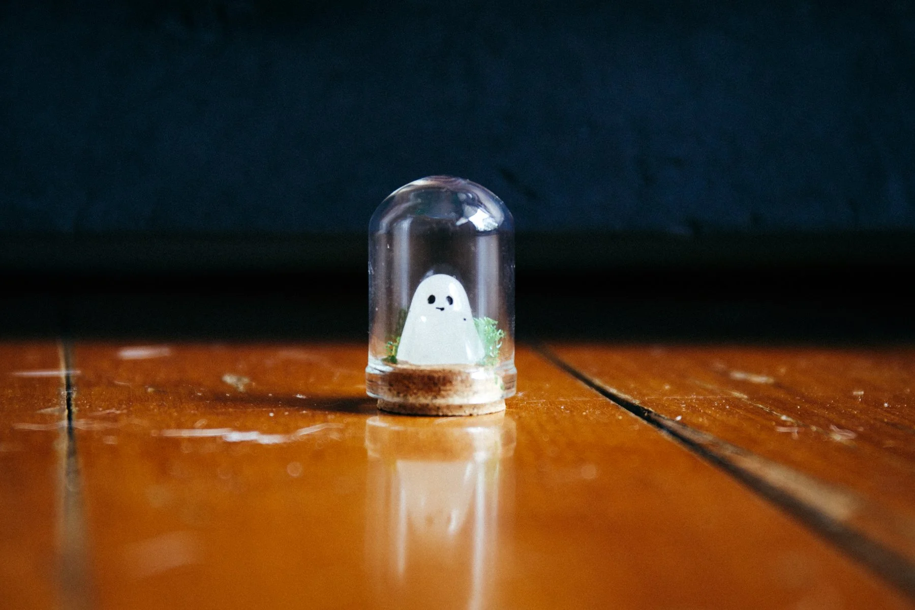 241225 (8 of 15).jpg