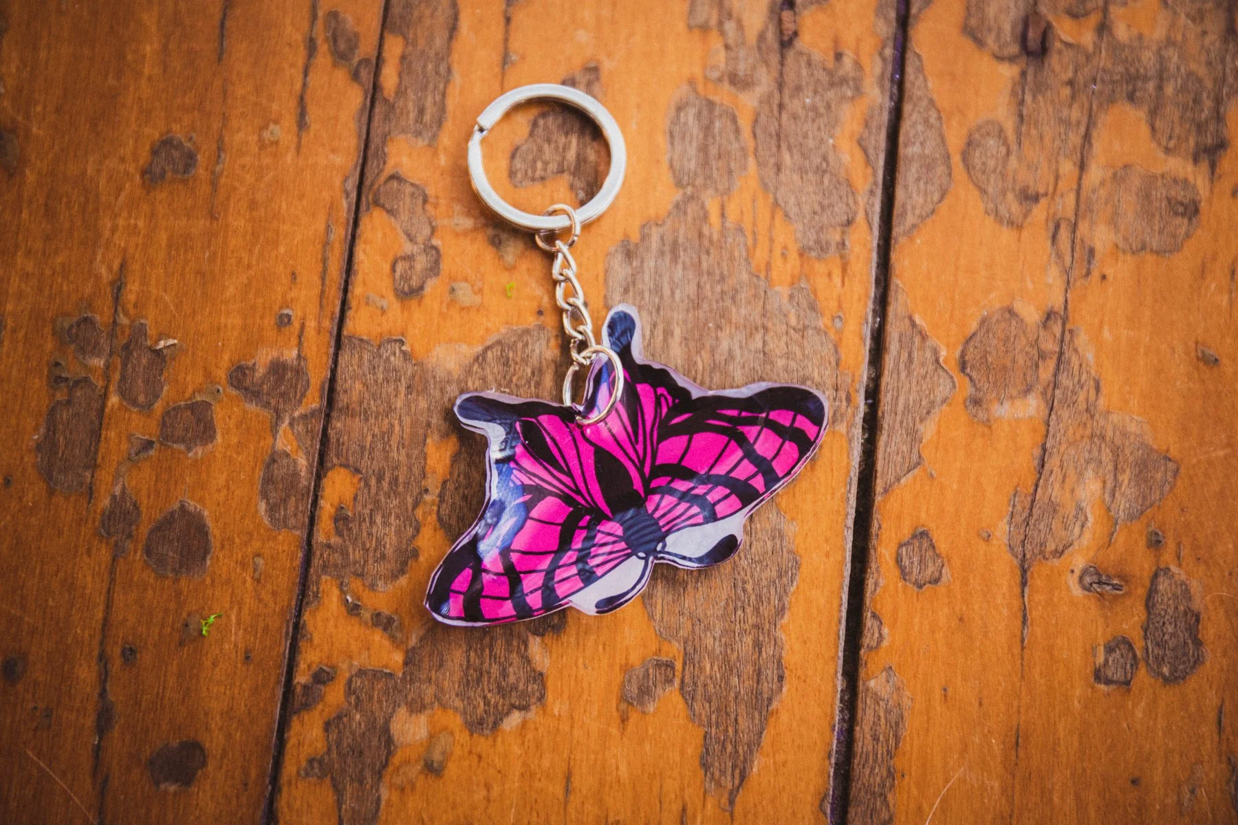 product240526 (41 of 53).jpg