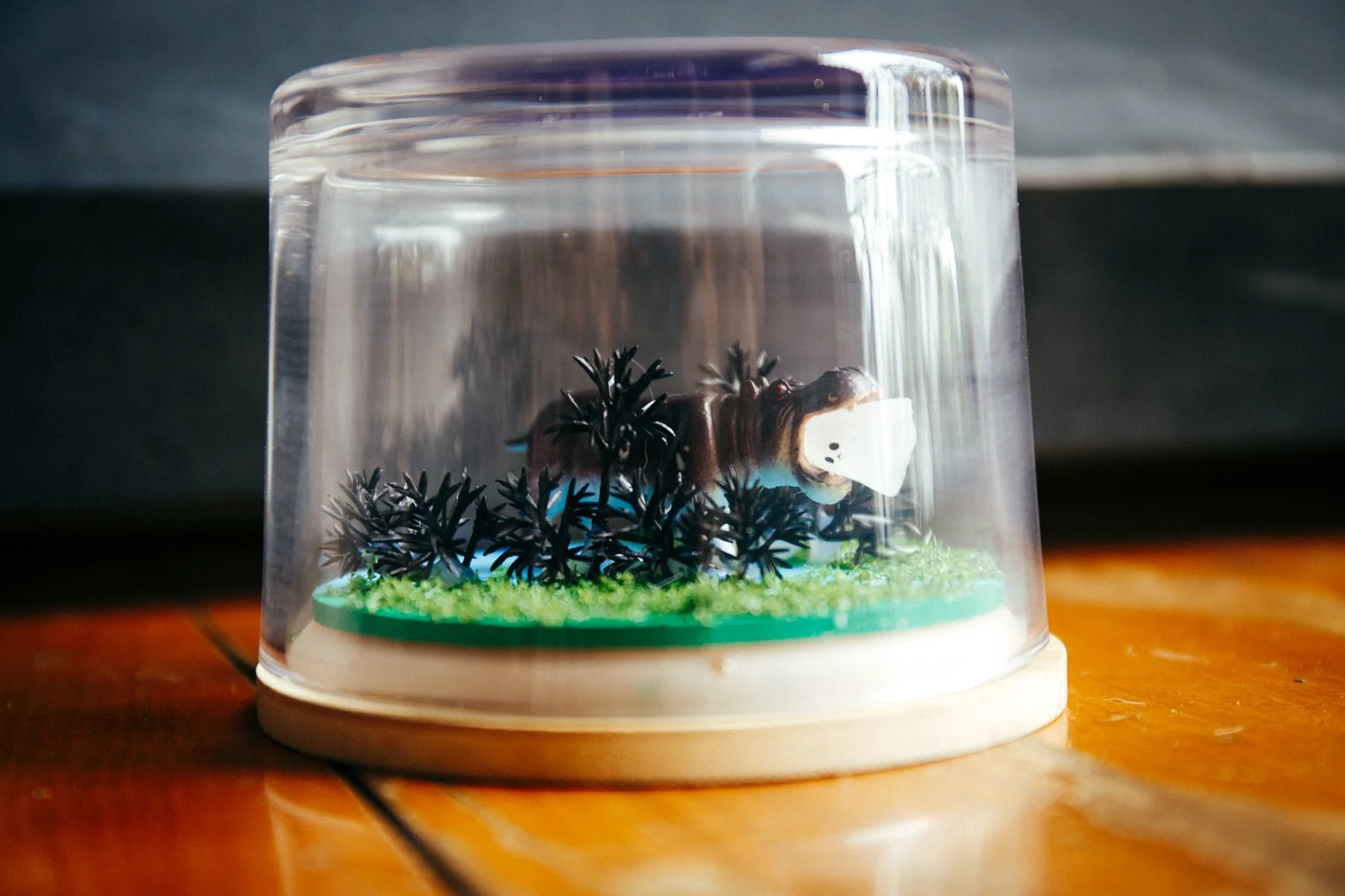 241225 (2 of 15).jpg