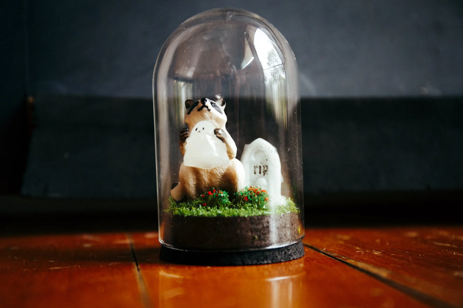 241225 (5 of 15).jpg