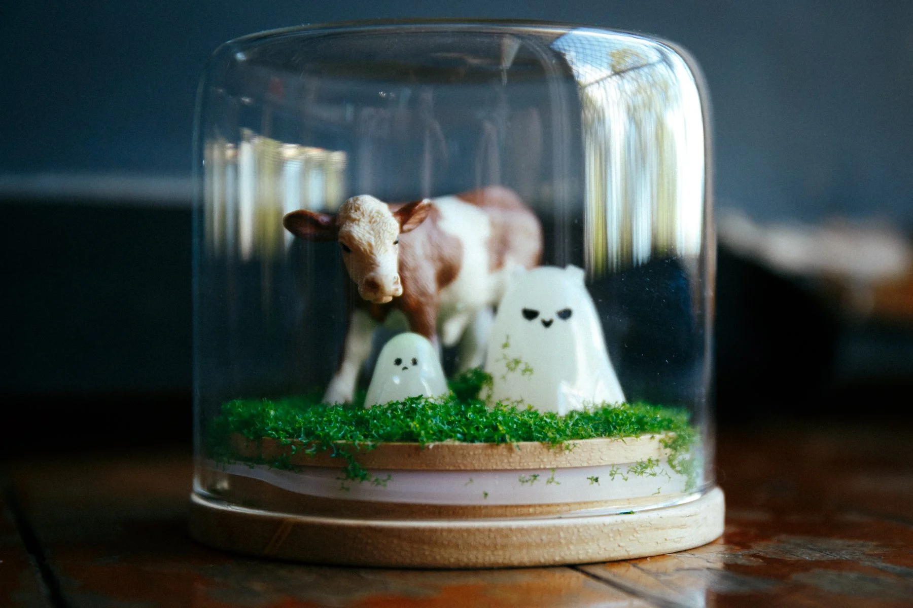 070226 (2 of 30).jpg