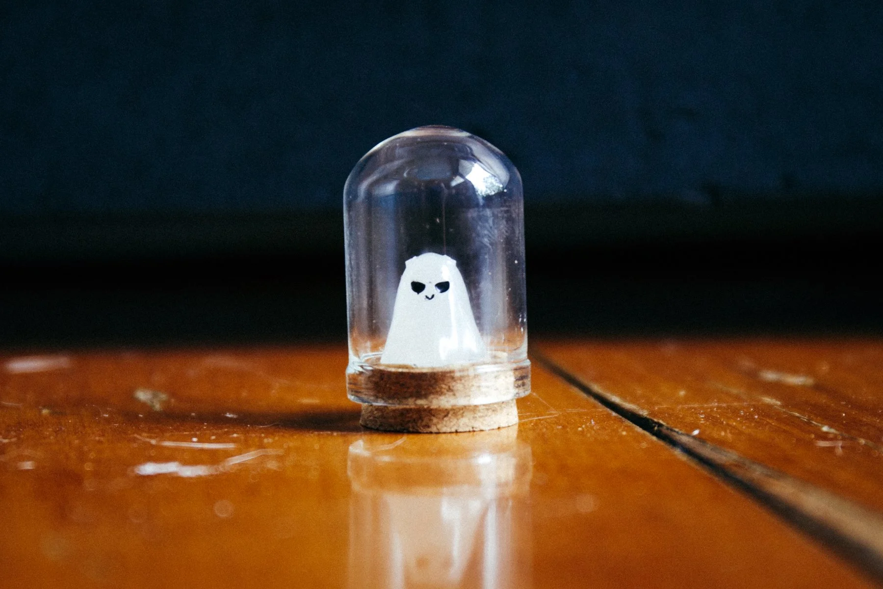 241225 (9 of 15).jpg