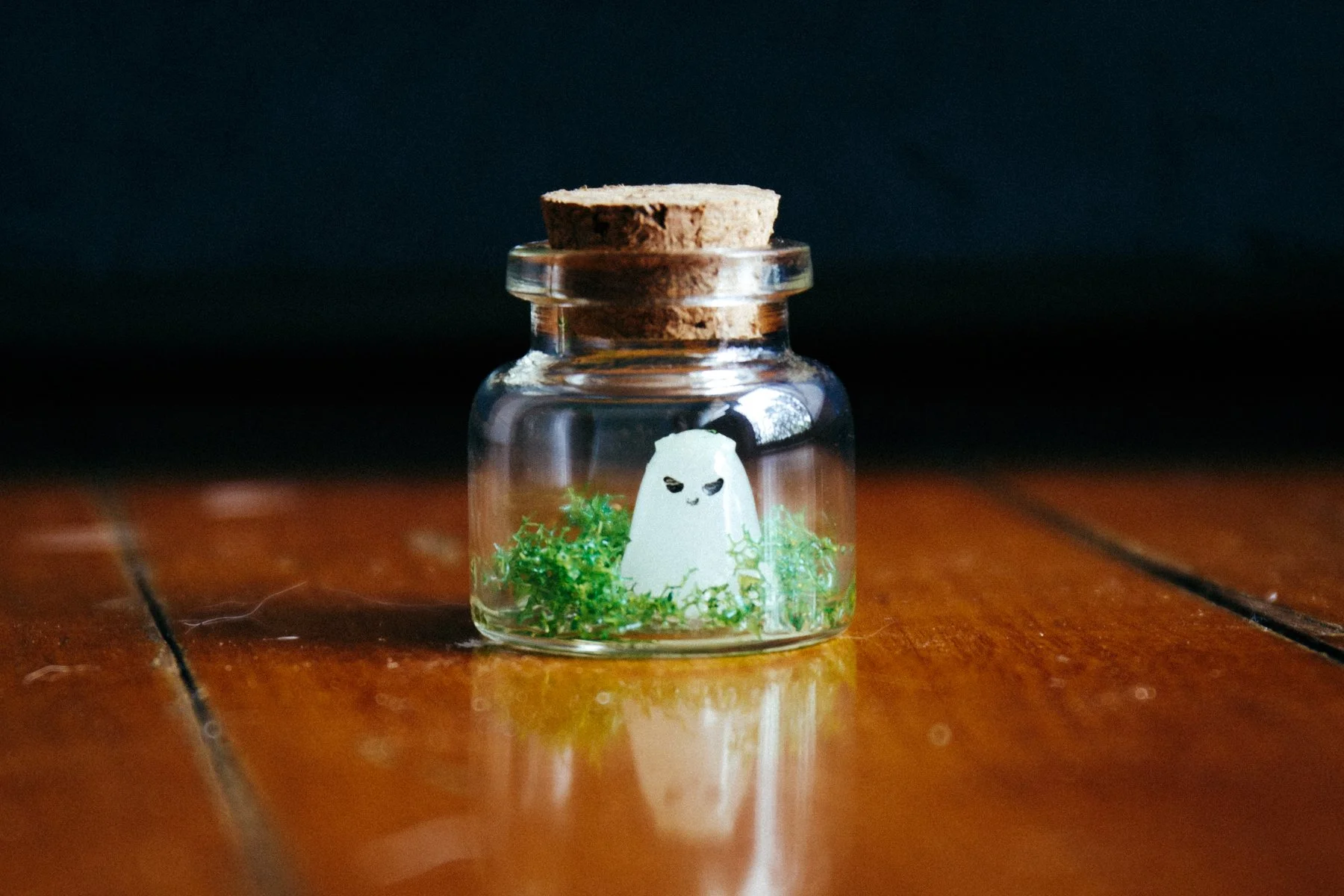 241225 (11 of 15).jpg