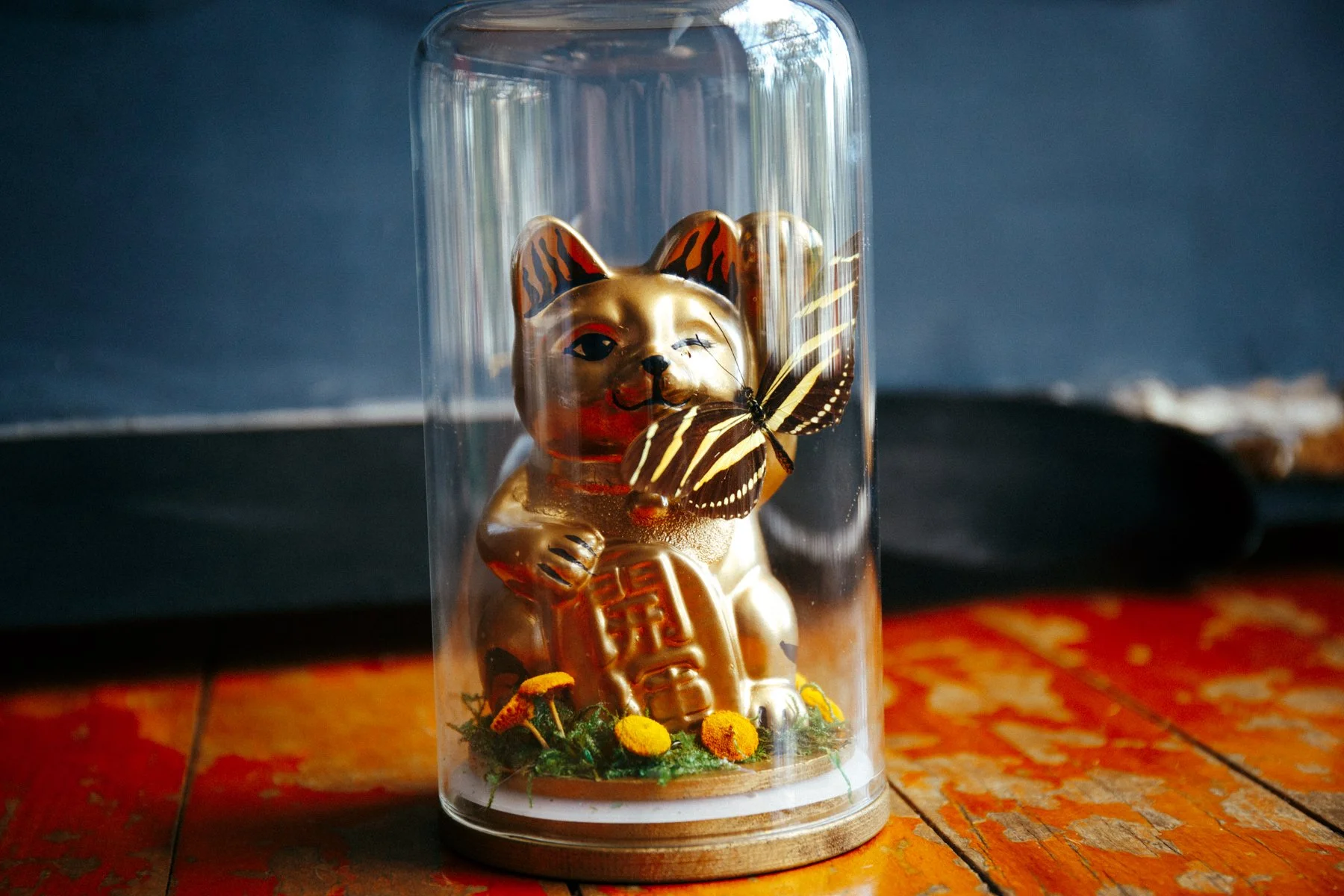 070226 (17 of 30).jpg