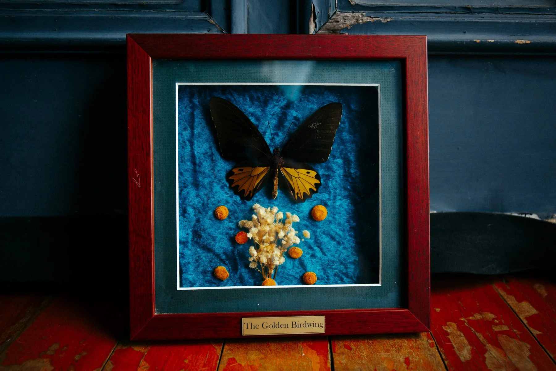 070226 (11 of 30).jpg