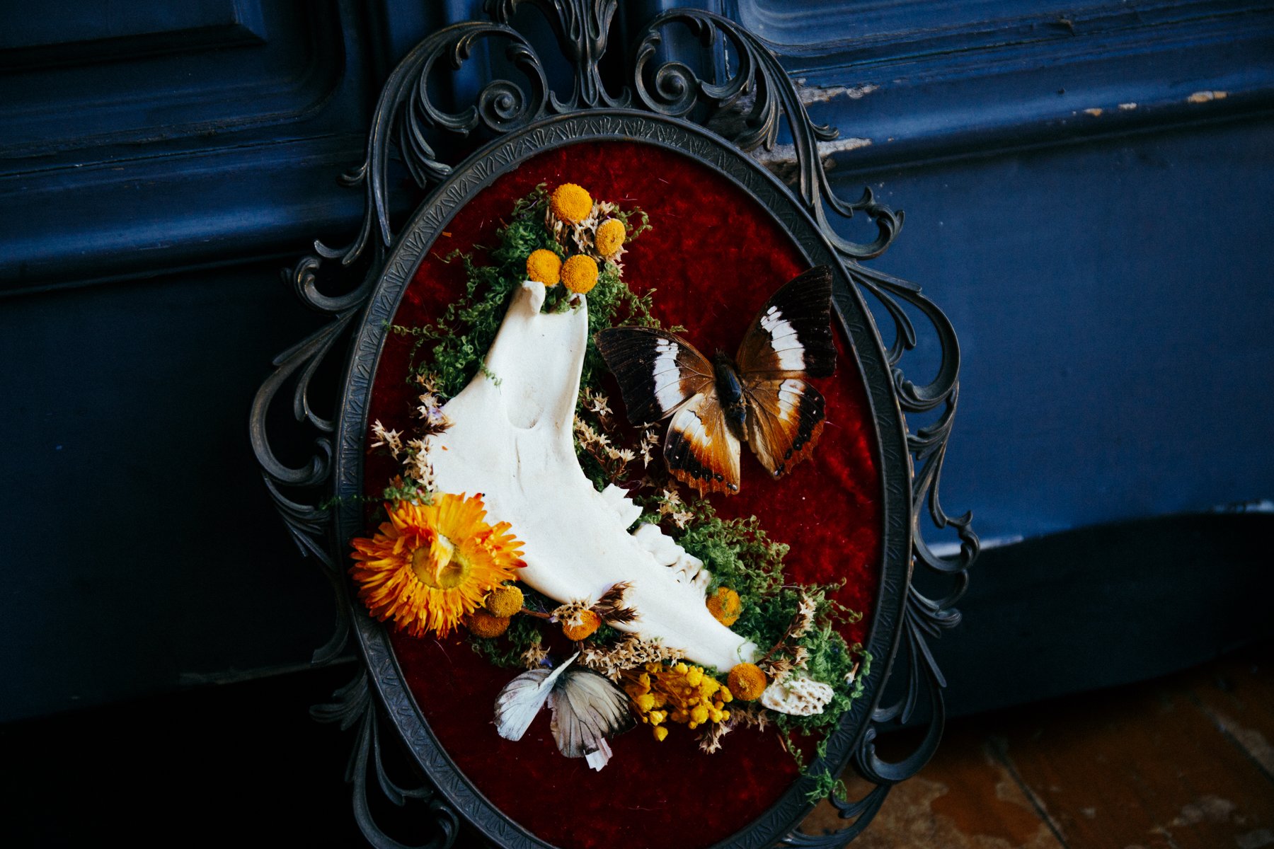 Botanical in Antique Frame