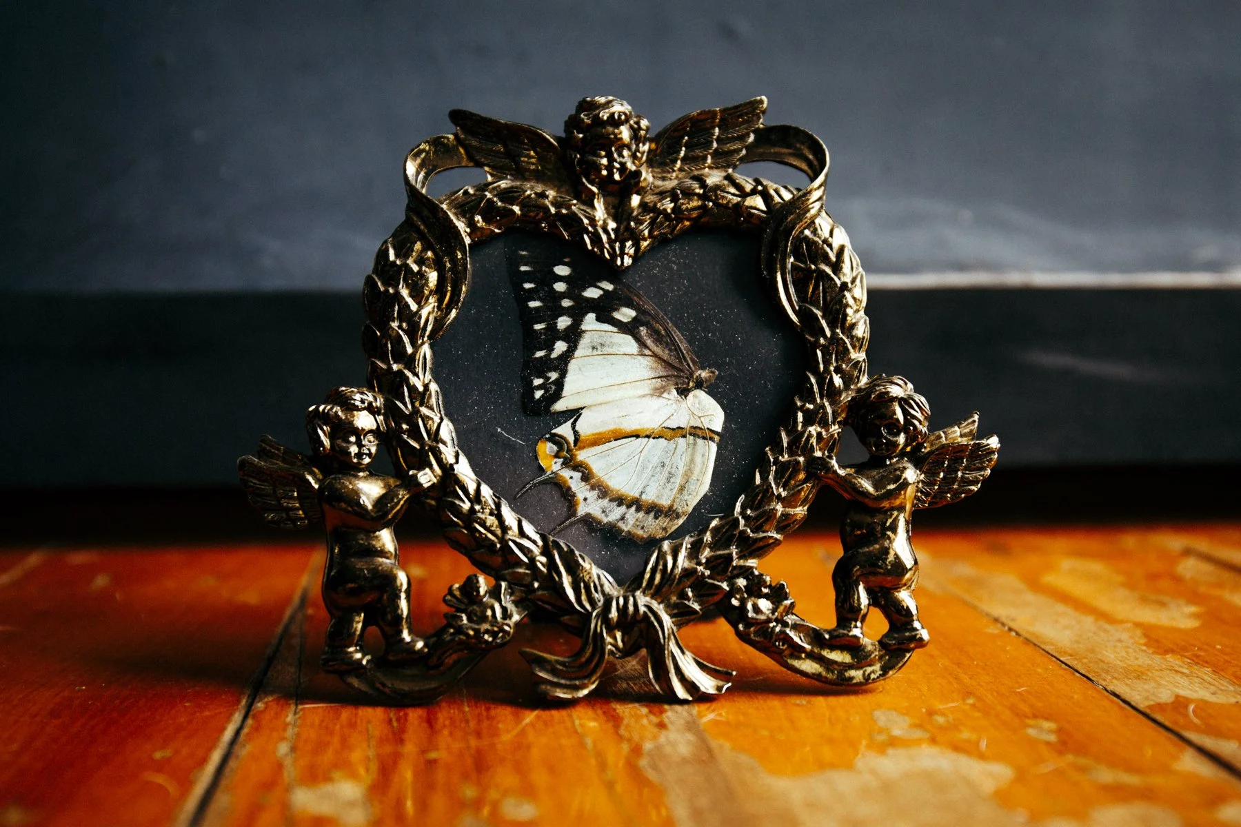 241225 (1 of 15).jpg