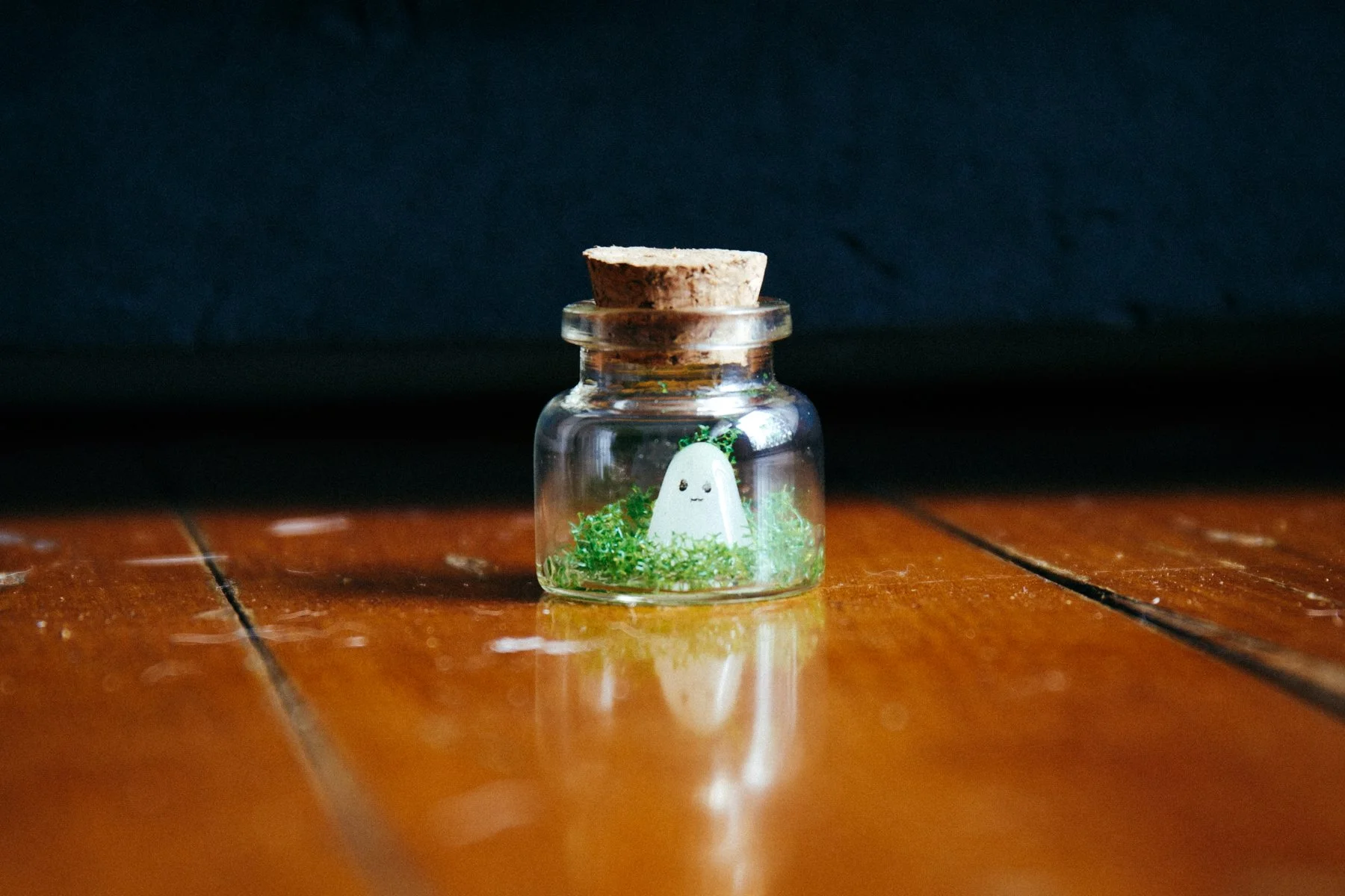 241225 (10 of 15).jpg