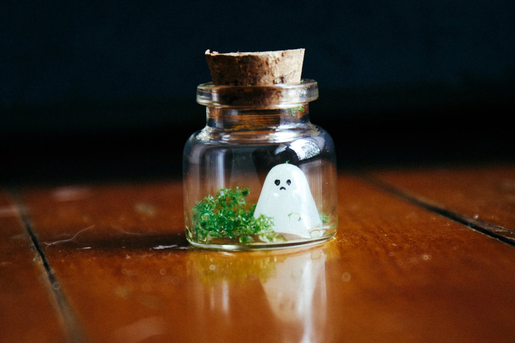 241225 (12 of 15).jpg