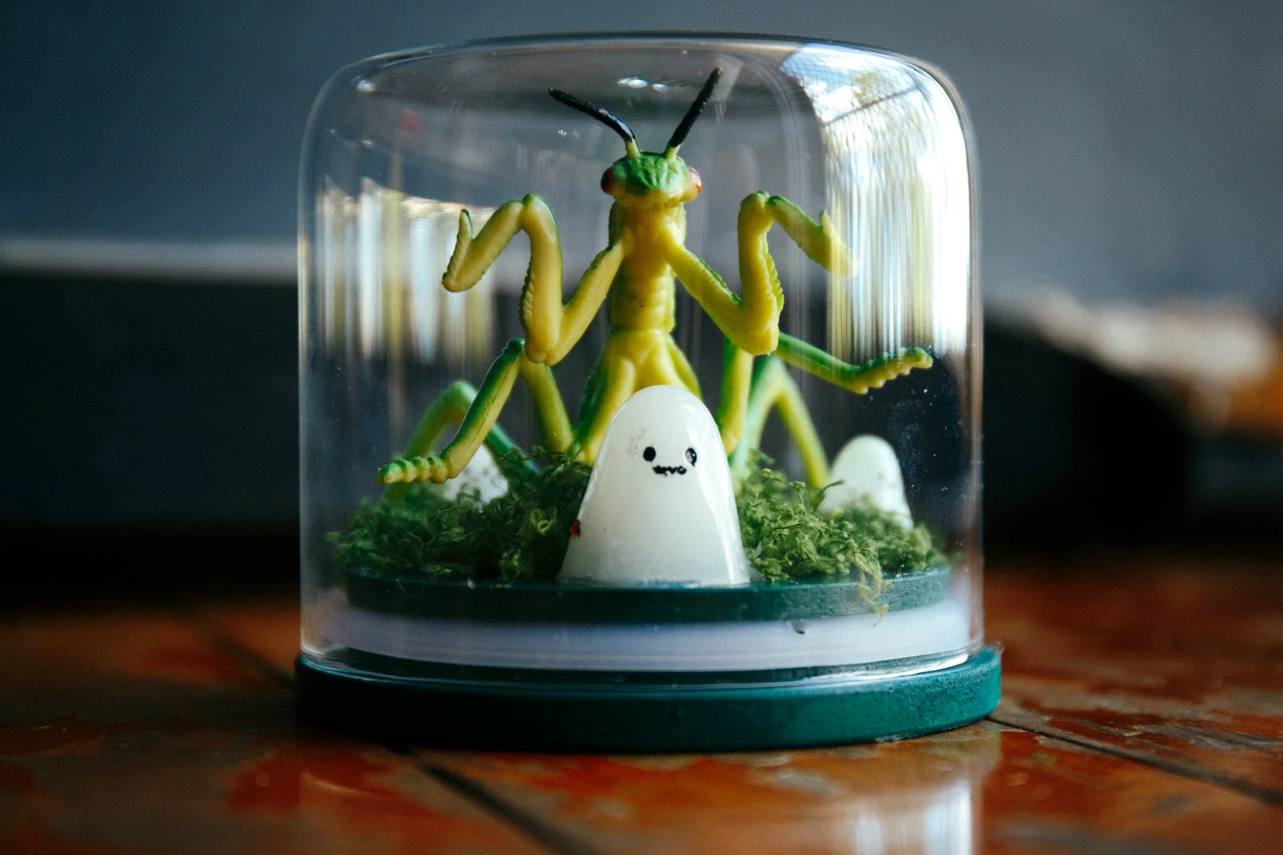 070226 (7 of 30).jpg