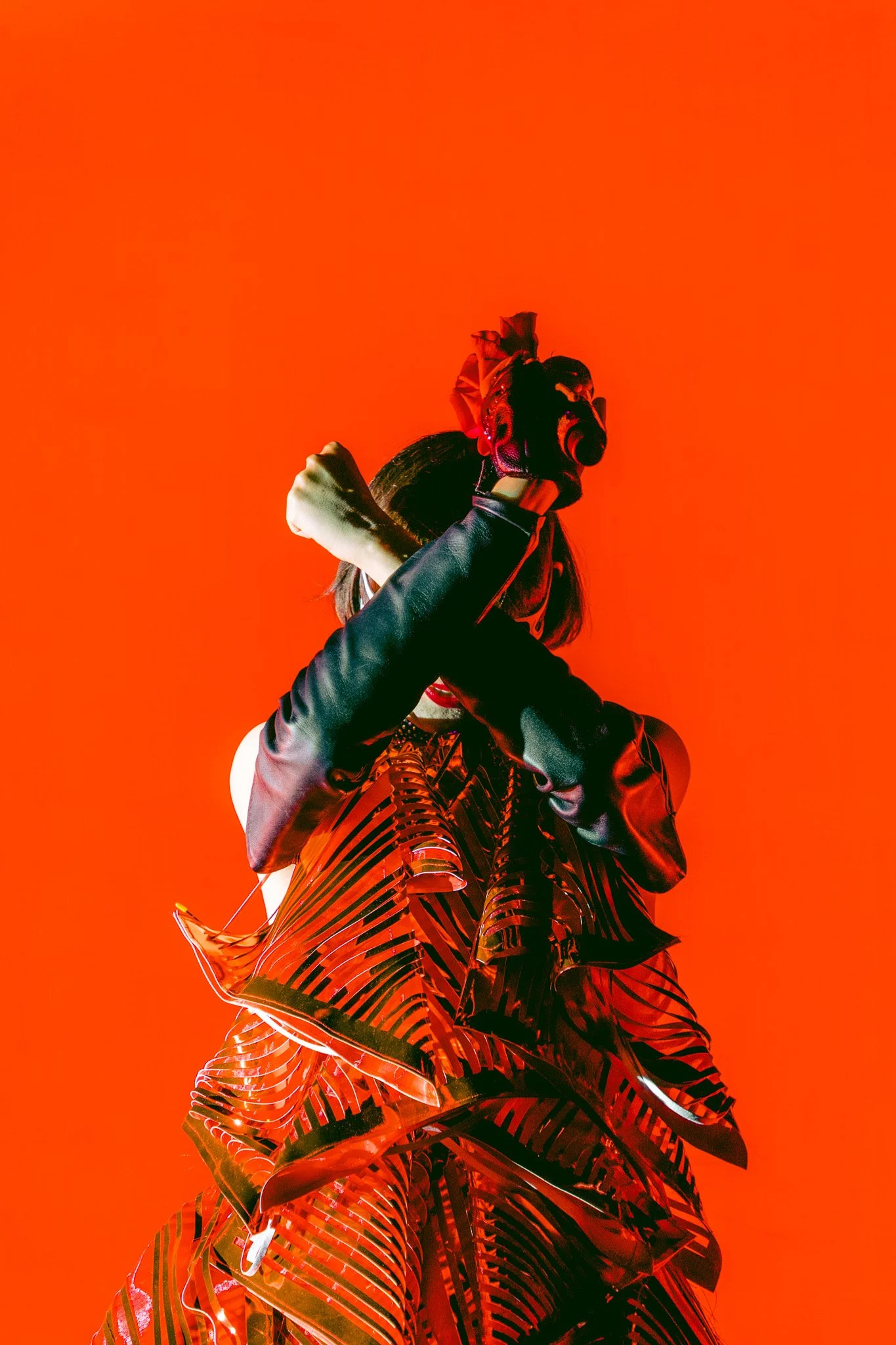 That time I photographed Yeah Yeah Yeahs