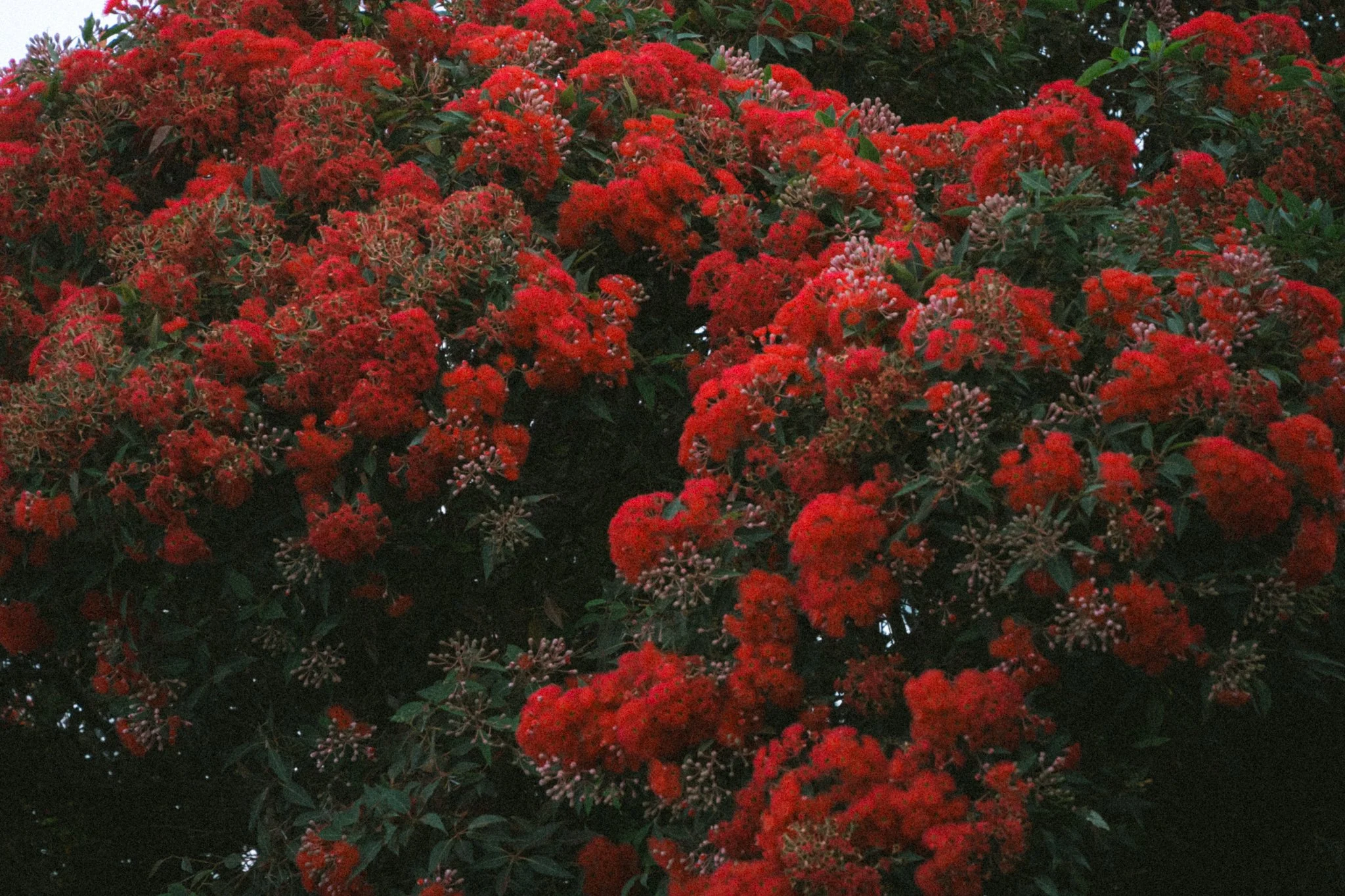 santabarbara-25.jpg