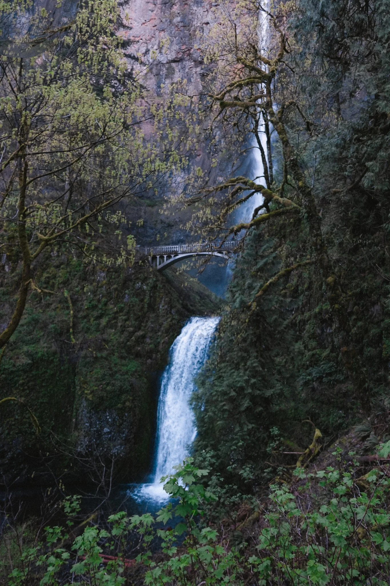 Keep Portland Weird! 