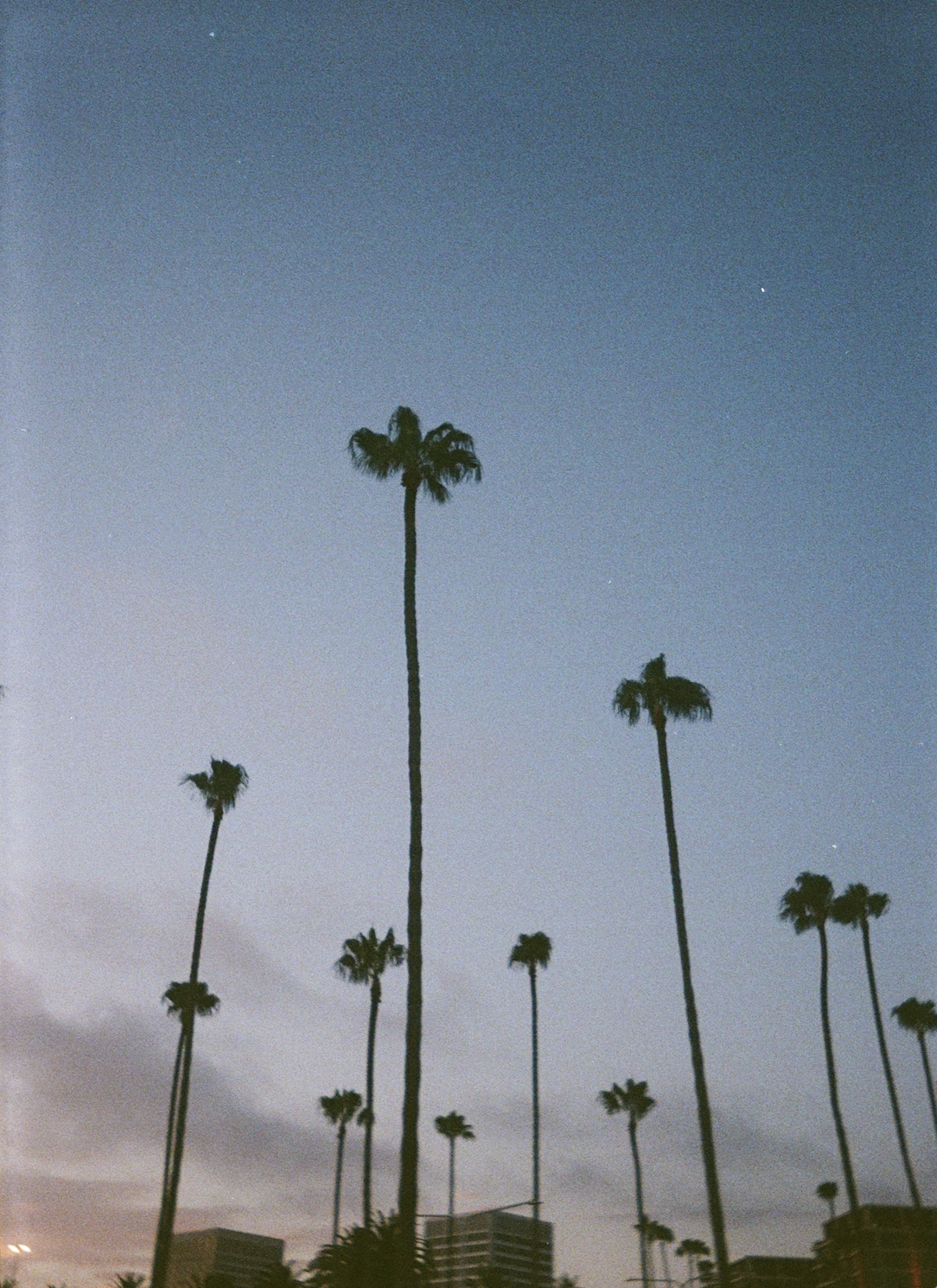 life in 35mm 
