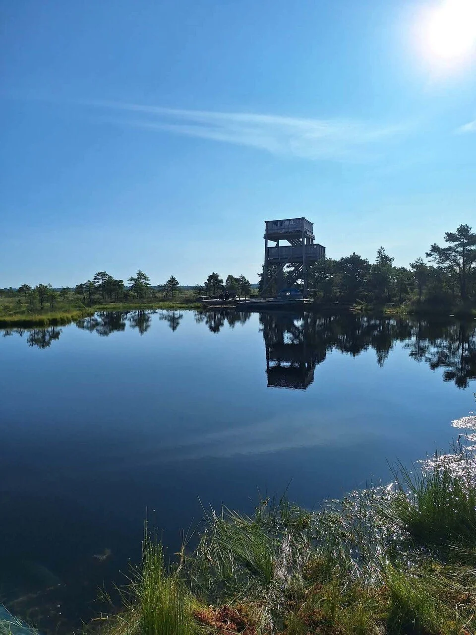 peaceful-bog-lake-morning.jpg.jpg