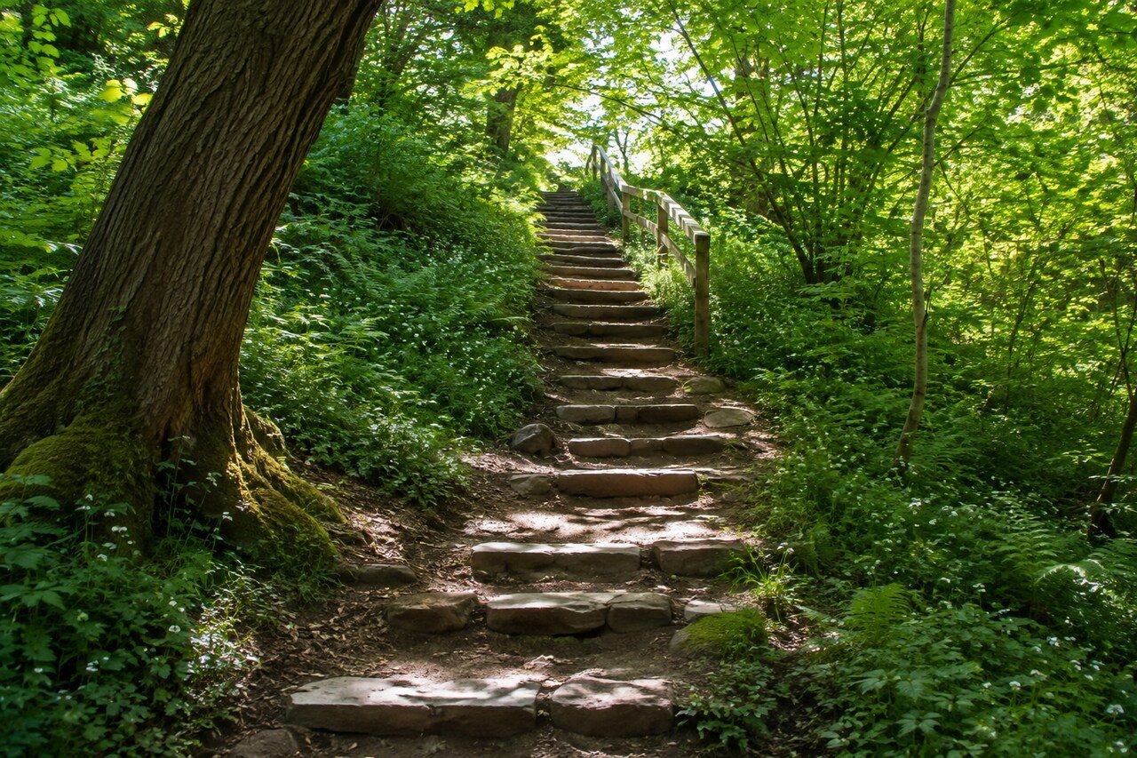 Stone steps leading up through a lush green forest, symbolizing small, consistent steps toward lasting change.