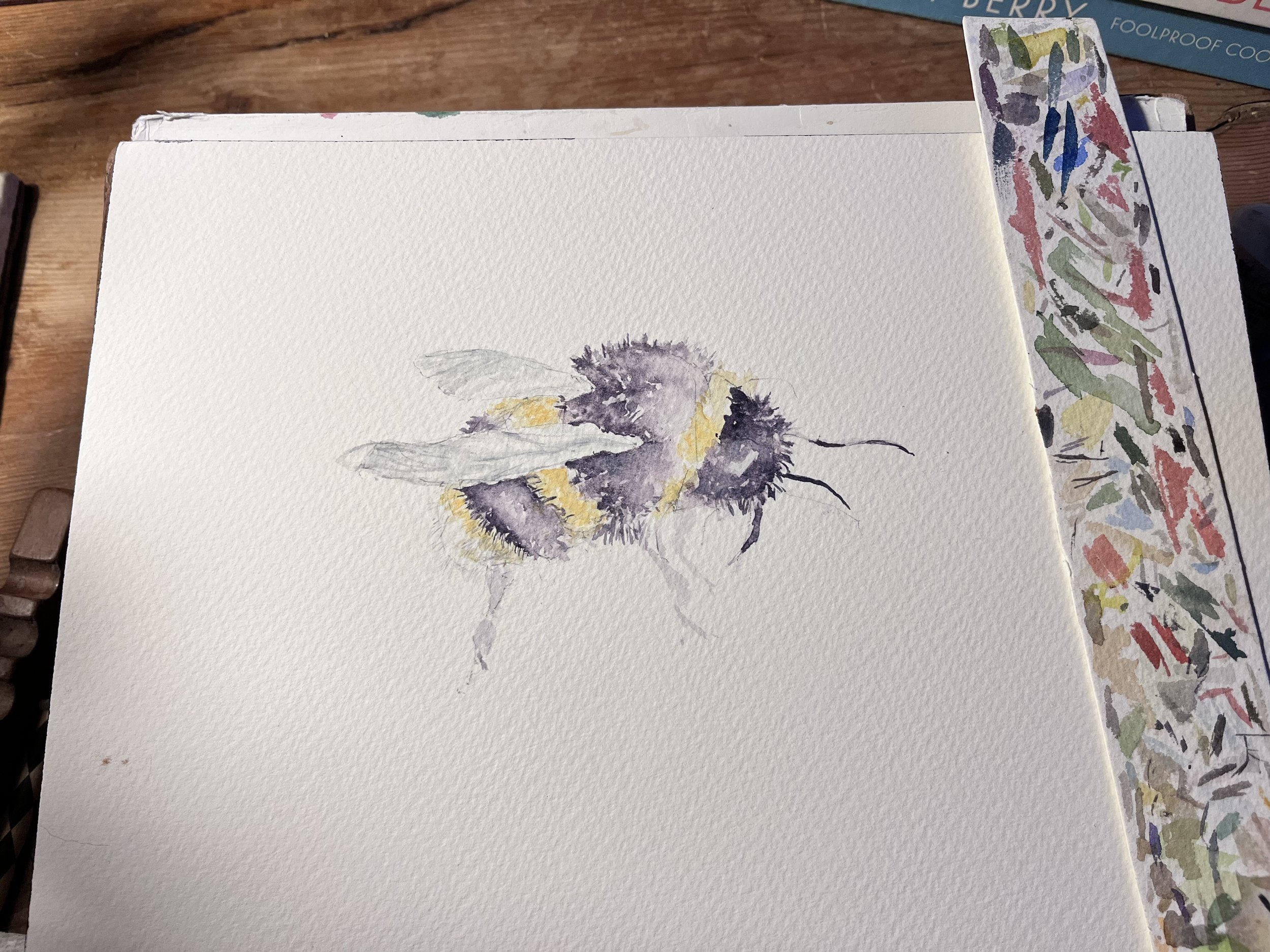 A New Bee Emerging….