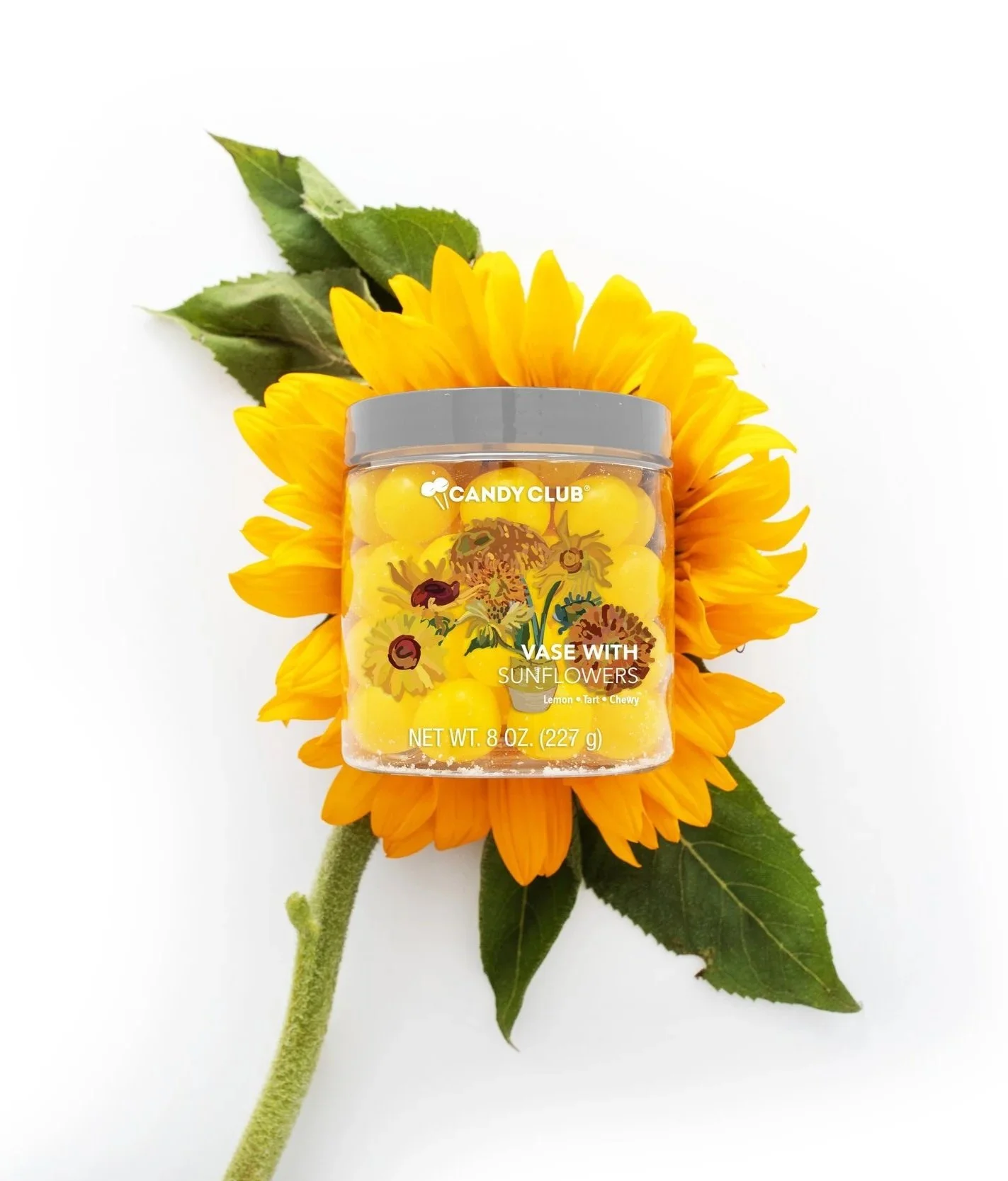 Vase+With+Sunflowers_Lifestyle.jpg