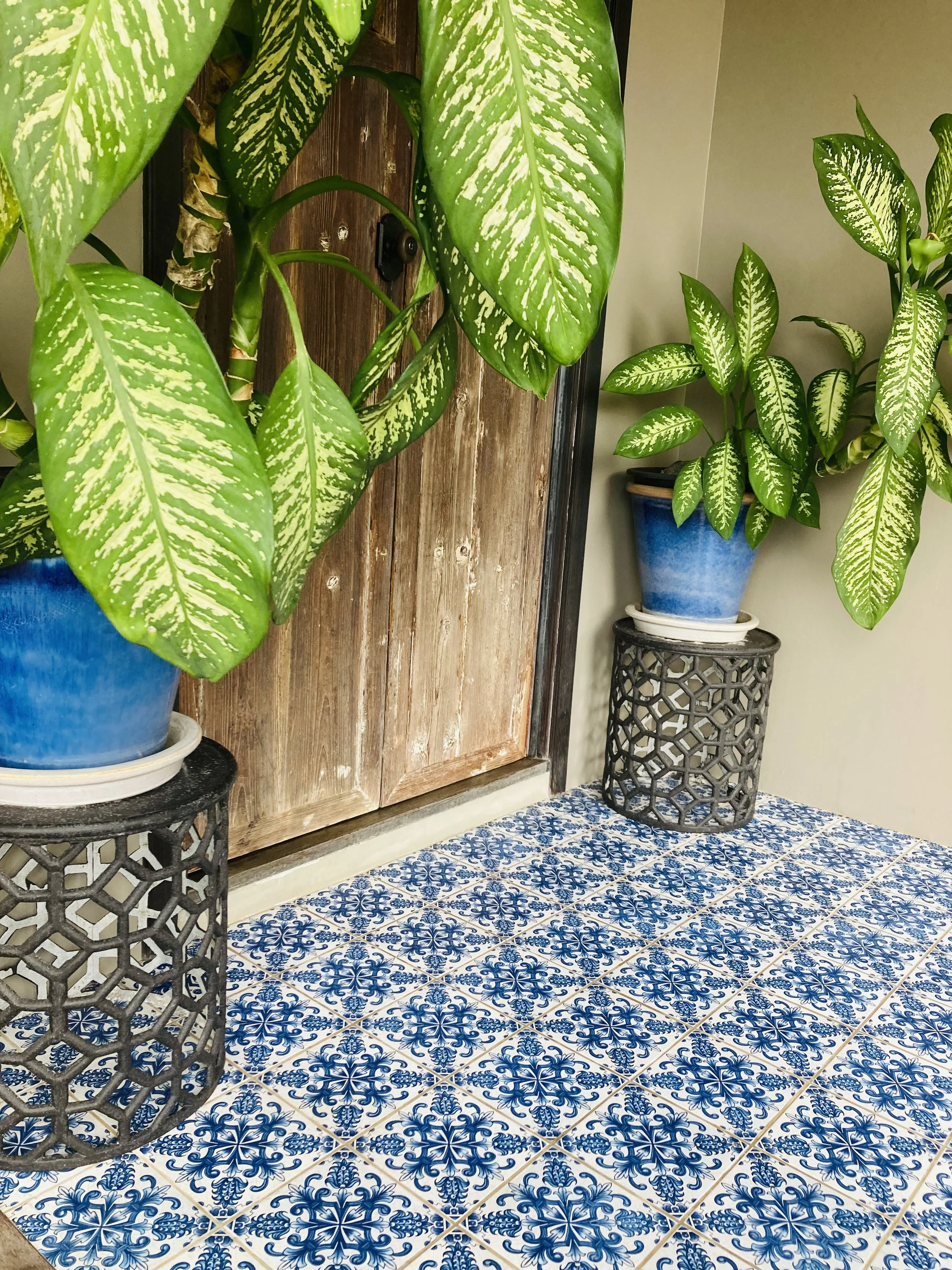 Second Carousel 2.jpeg