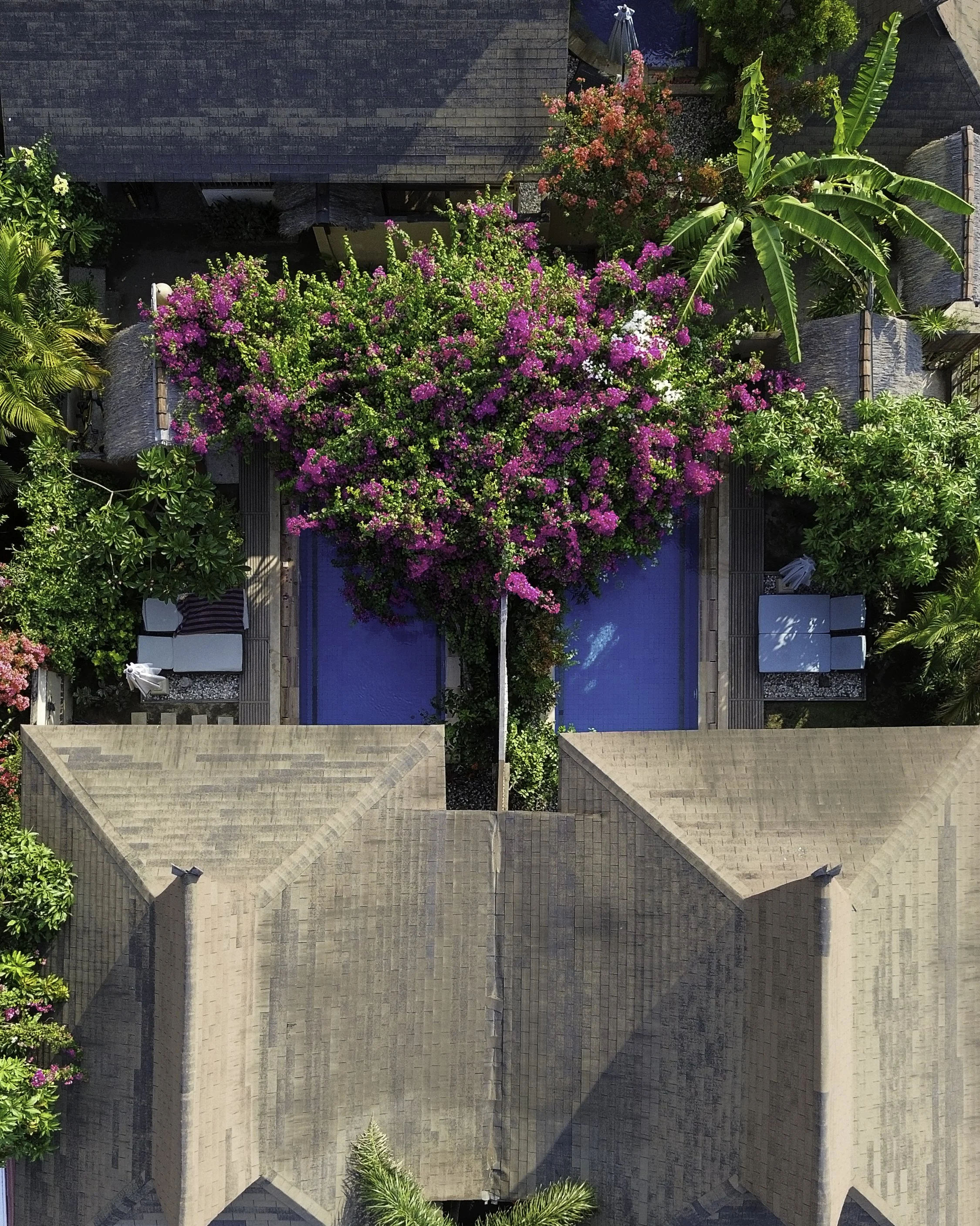 Apalagi Villas: Private-Pool Island Living on Gili Air