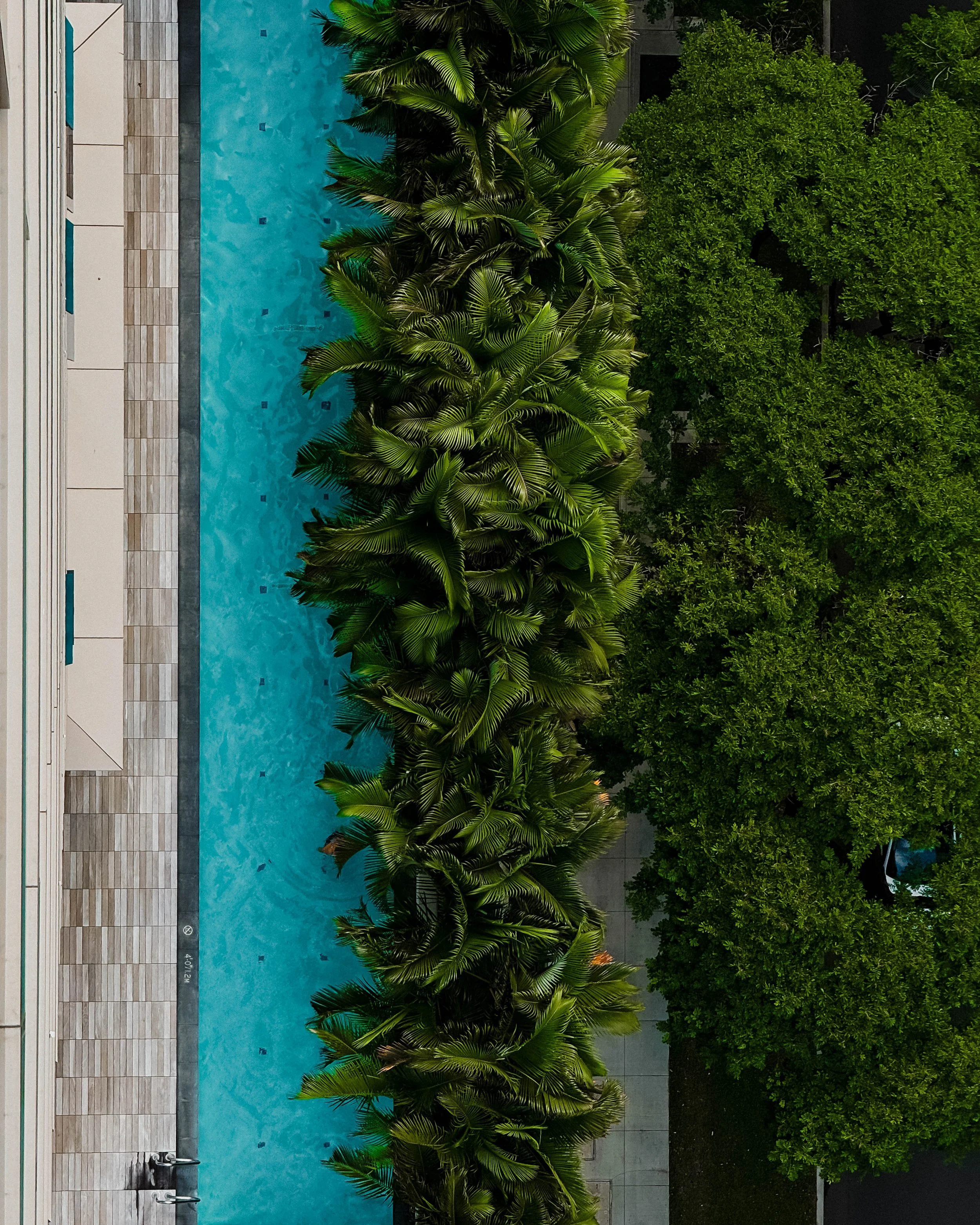 Renaissance Honolulu Hotel &amp; Spa: Contemporary Island Living in the Heart of the City