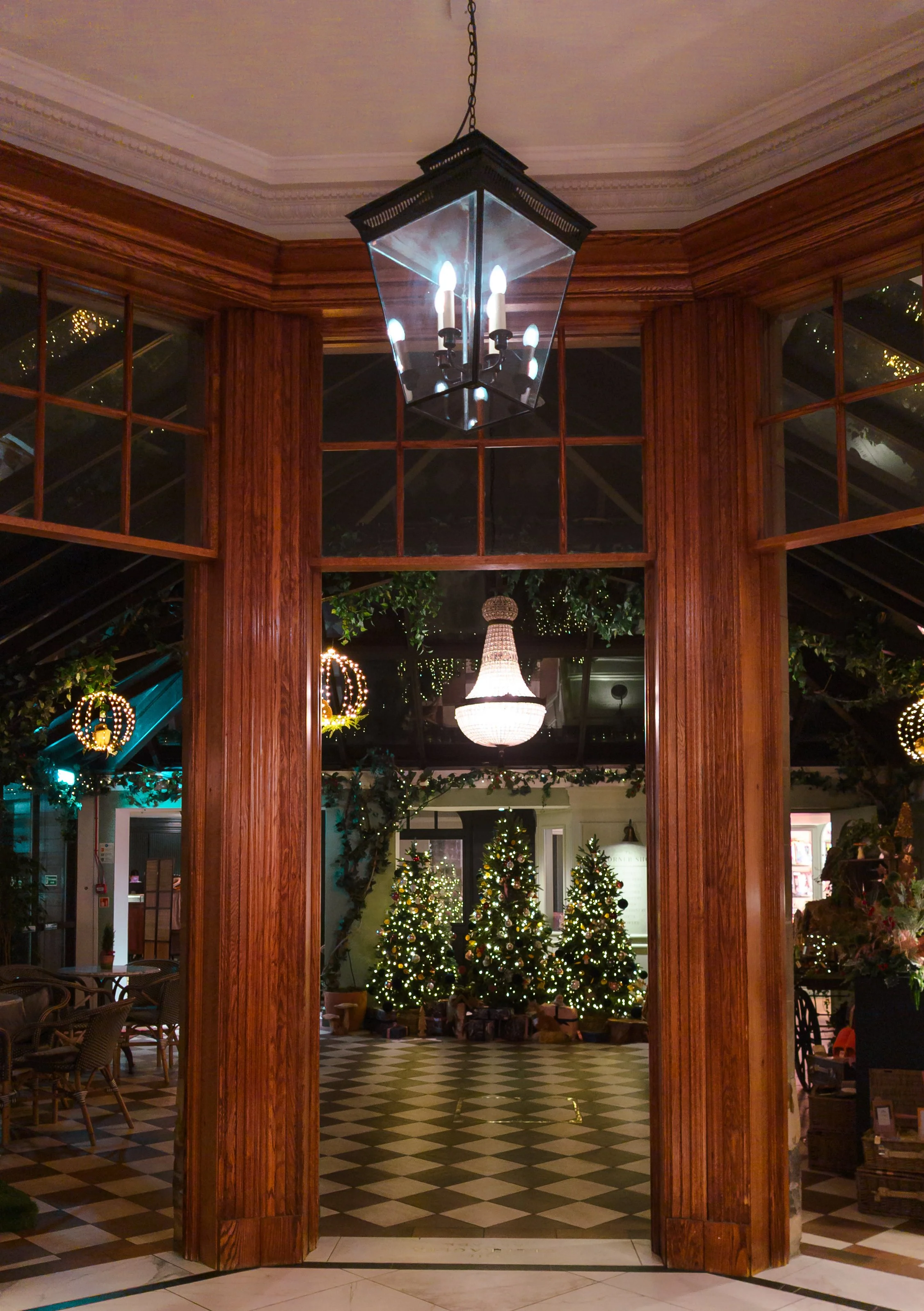 PXL_20251214_171536354.RAW-02.ORIGINAL (1).jpg