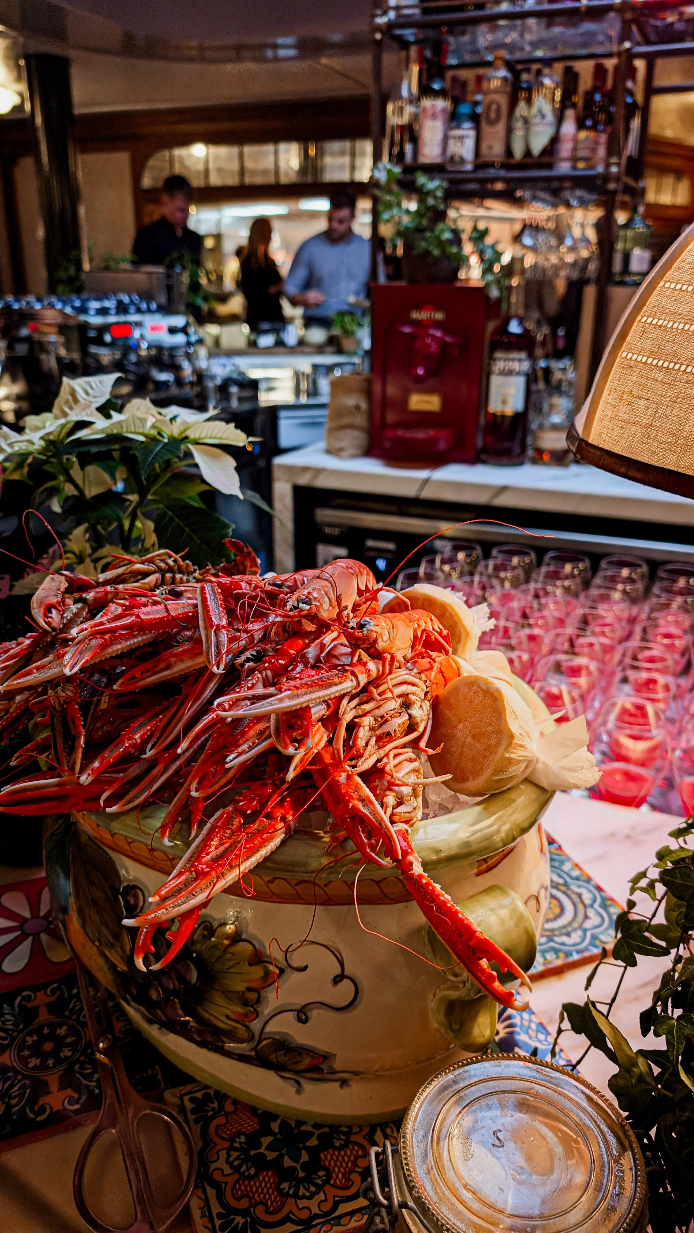 PXL_20251214_125143946.RAW-01.MP.COVER (1).jpg