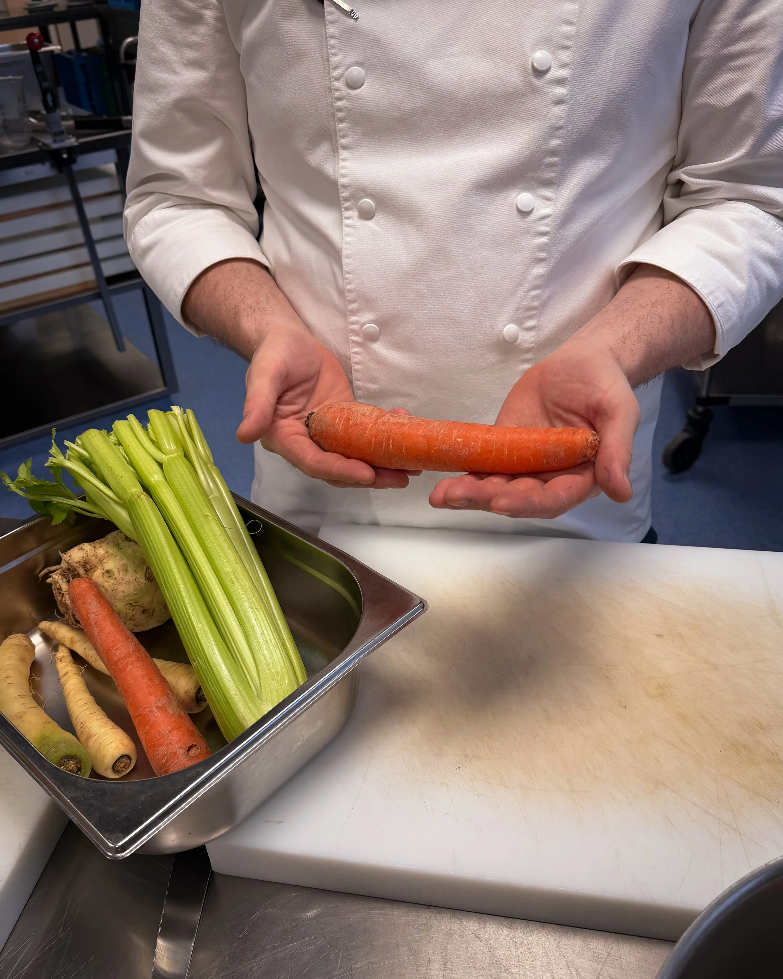 Copy of Carousel 11.jpg