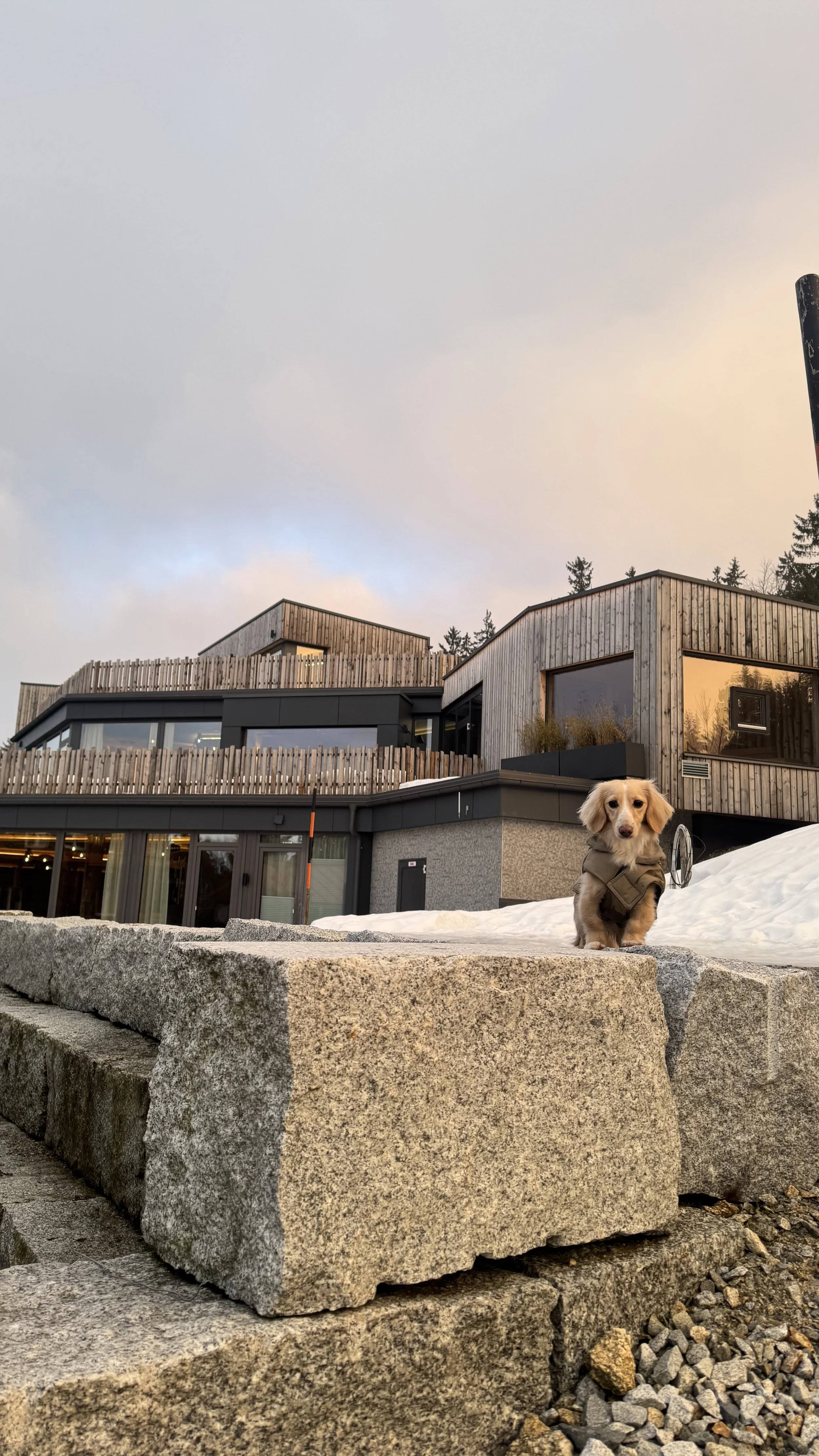 Hundesporthotel Waldeck, Bavarian Forest, Germany: Where Luxury Travel Finally Includes Your Dog