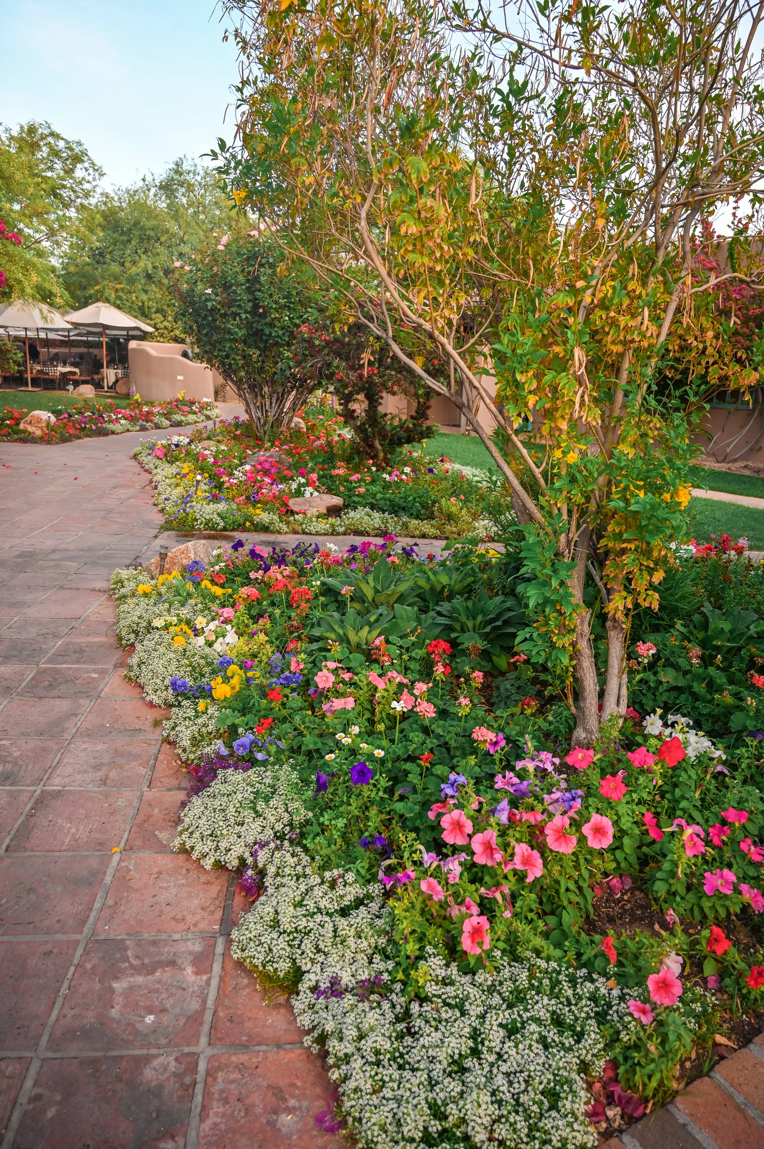 garden.jpg