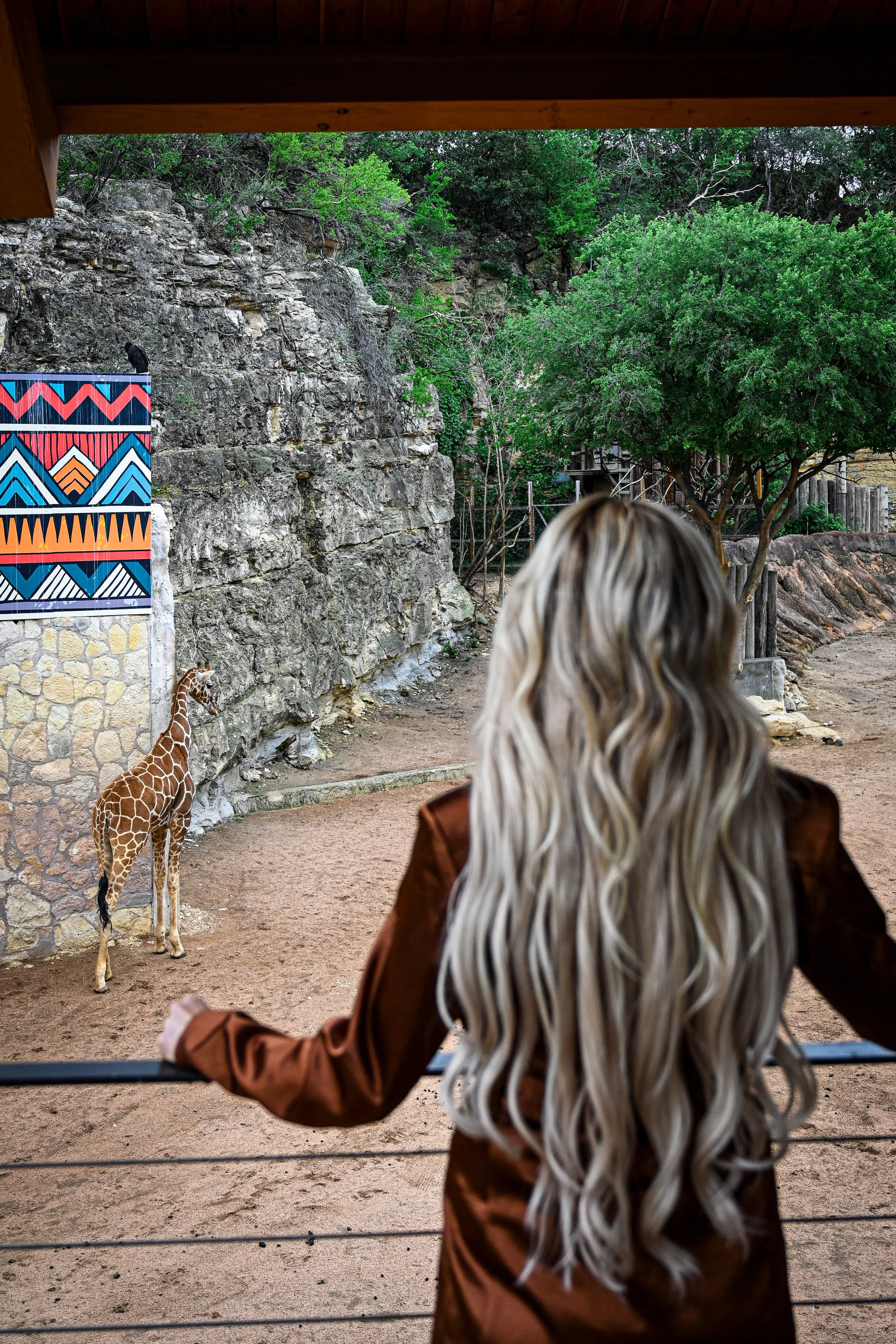 Spekboom Lodge: An Immersive Wildlife Stay at San Antonio Zoo