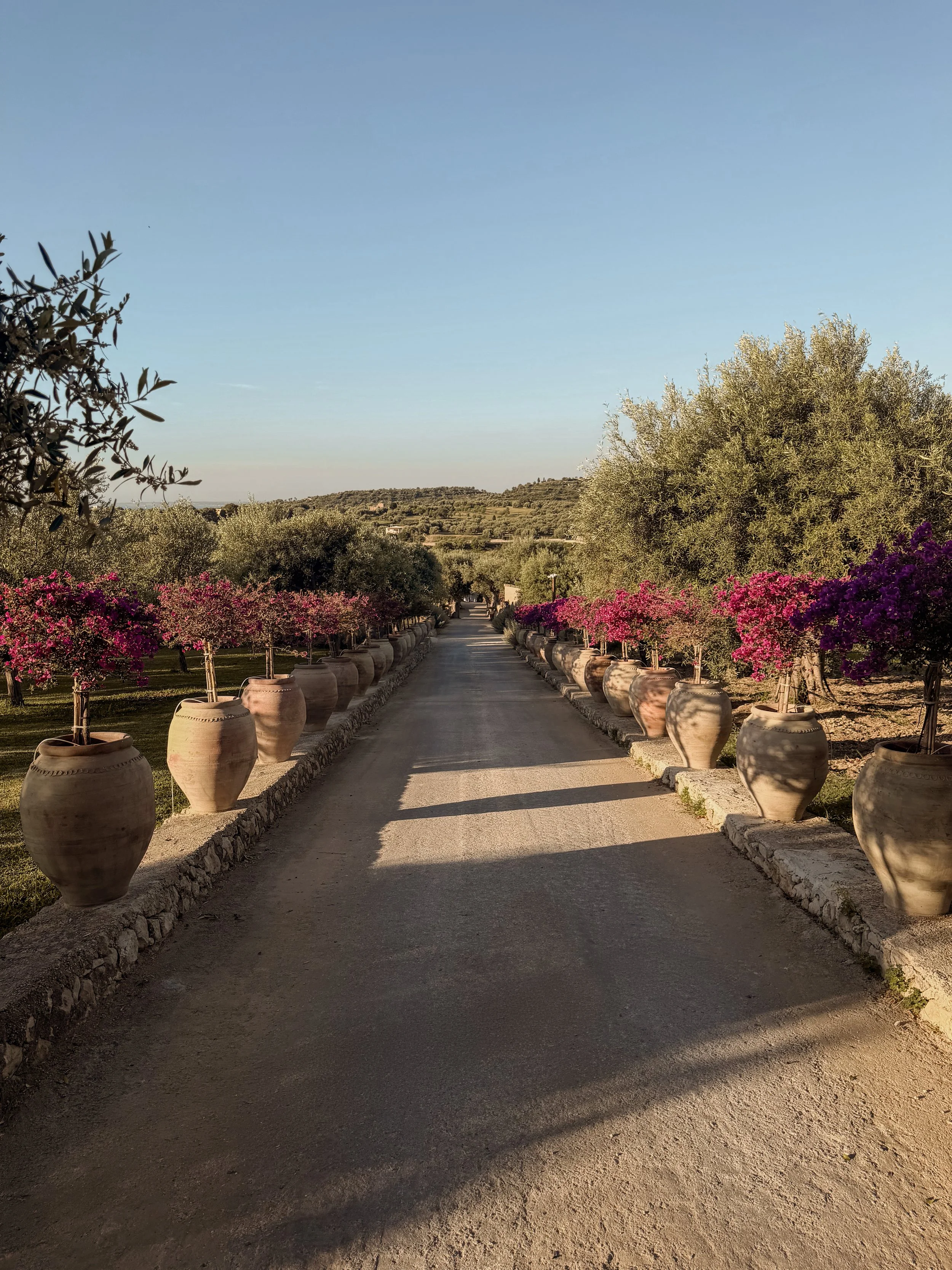 Braccialieri: A Design-Led Sicilian Retreat Hidden Among the Citrus Groves of Noto