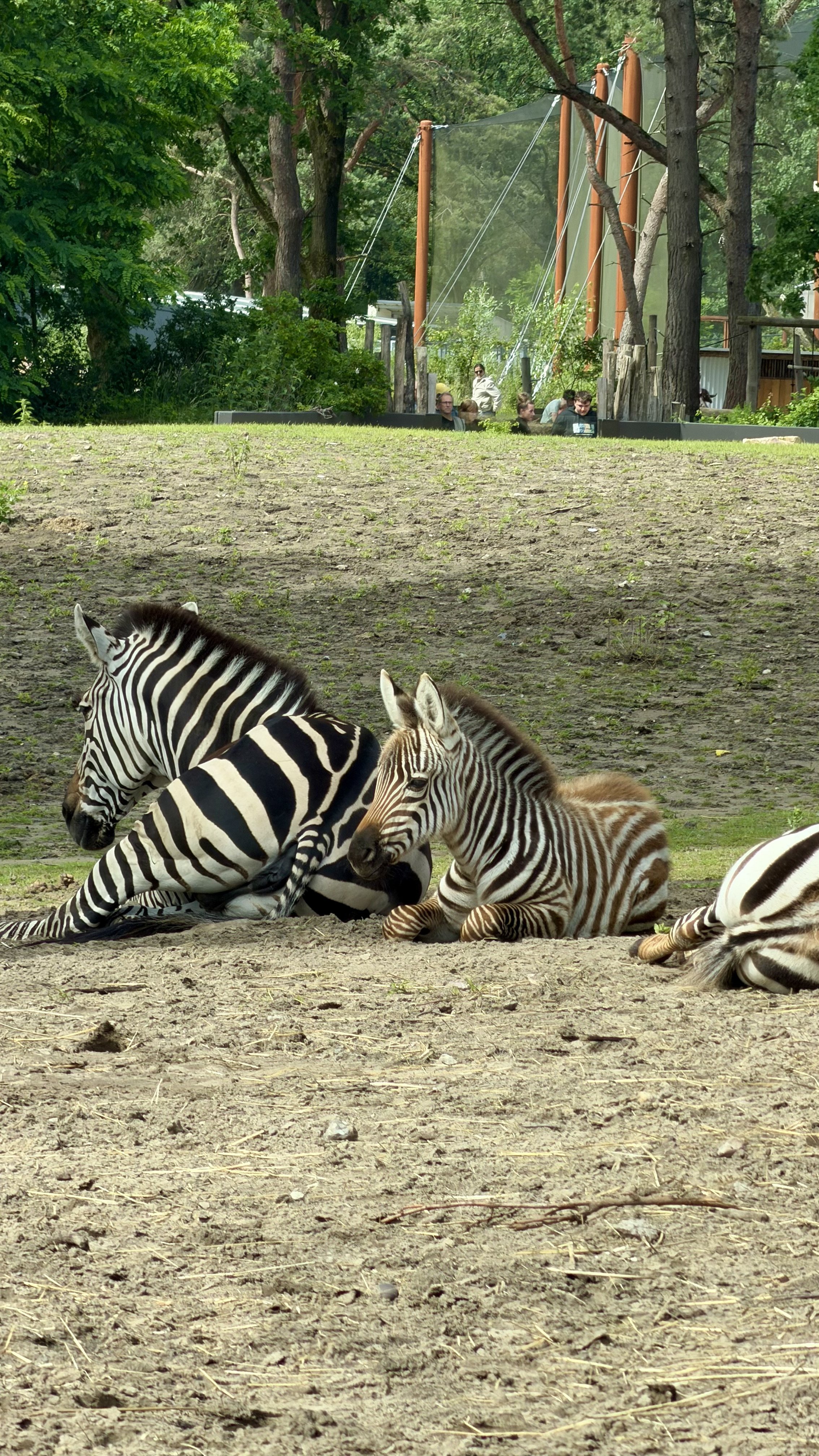 2. Safaripark.jpg