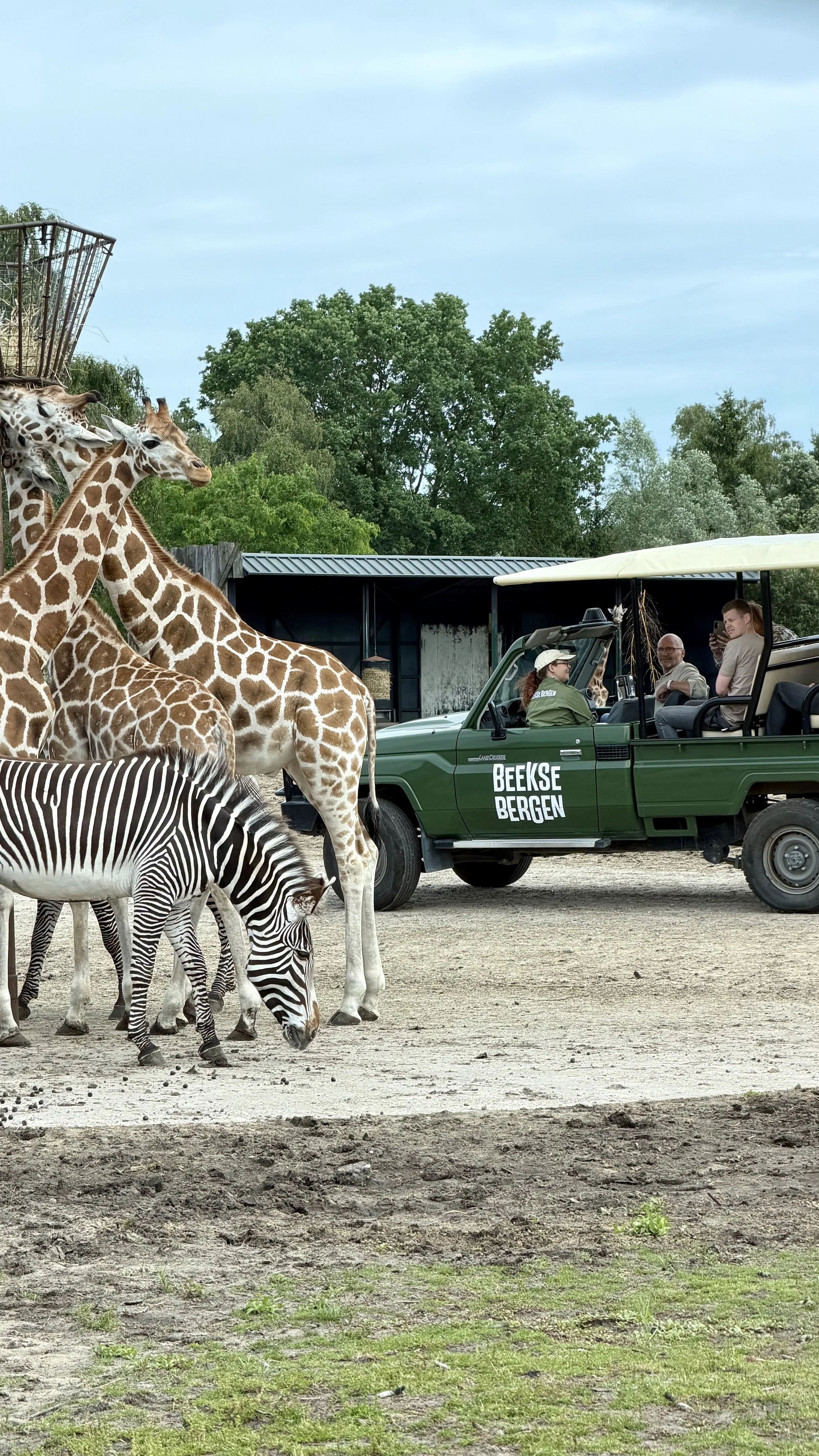 1. Safaripark.jpg