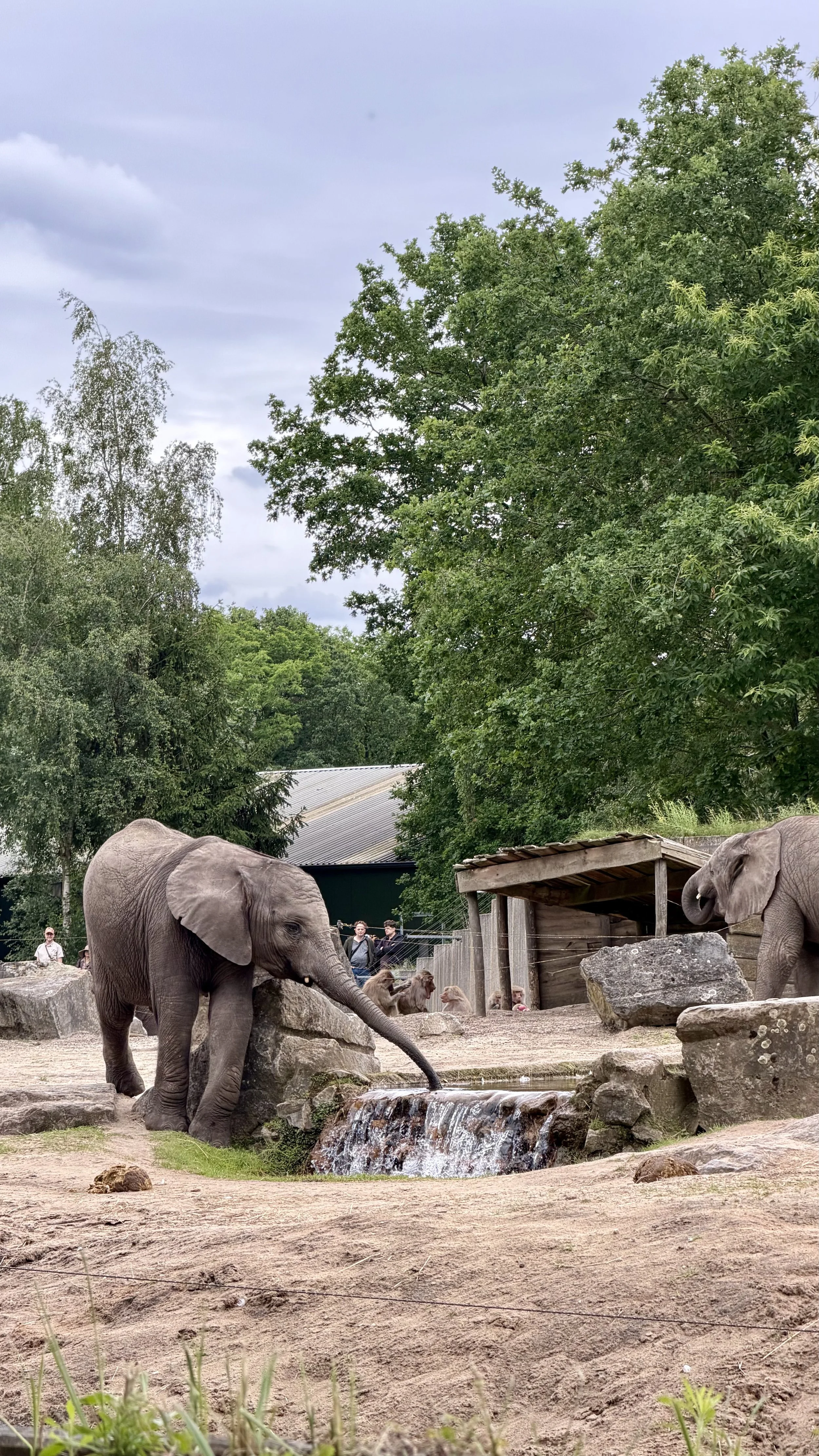 5. Safaripark .jpg