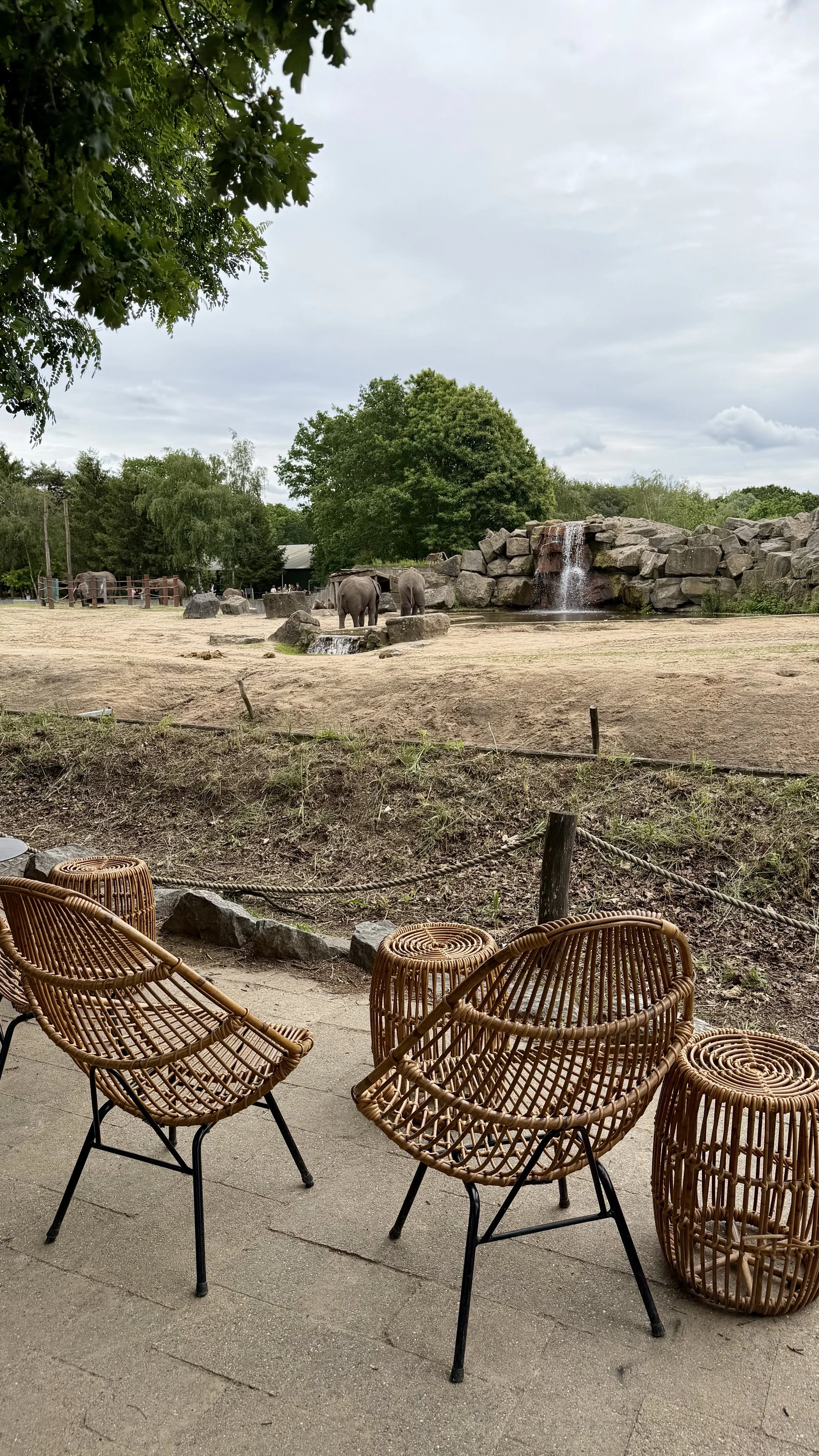 4. Safaripark .jpg