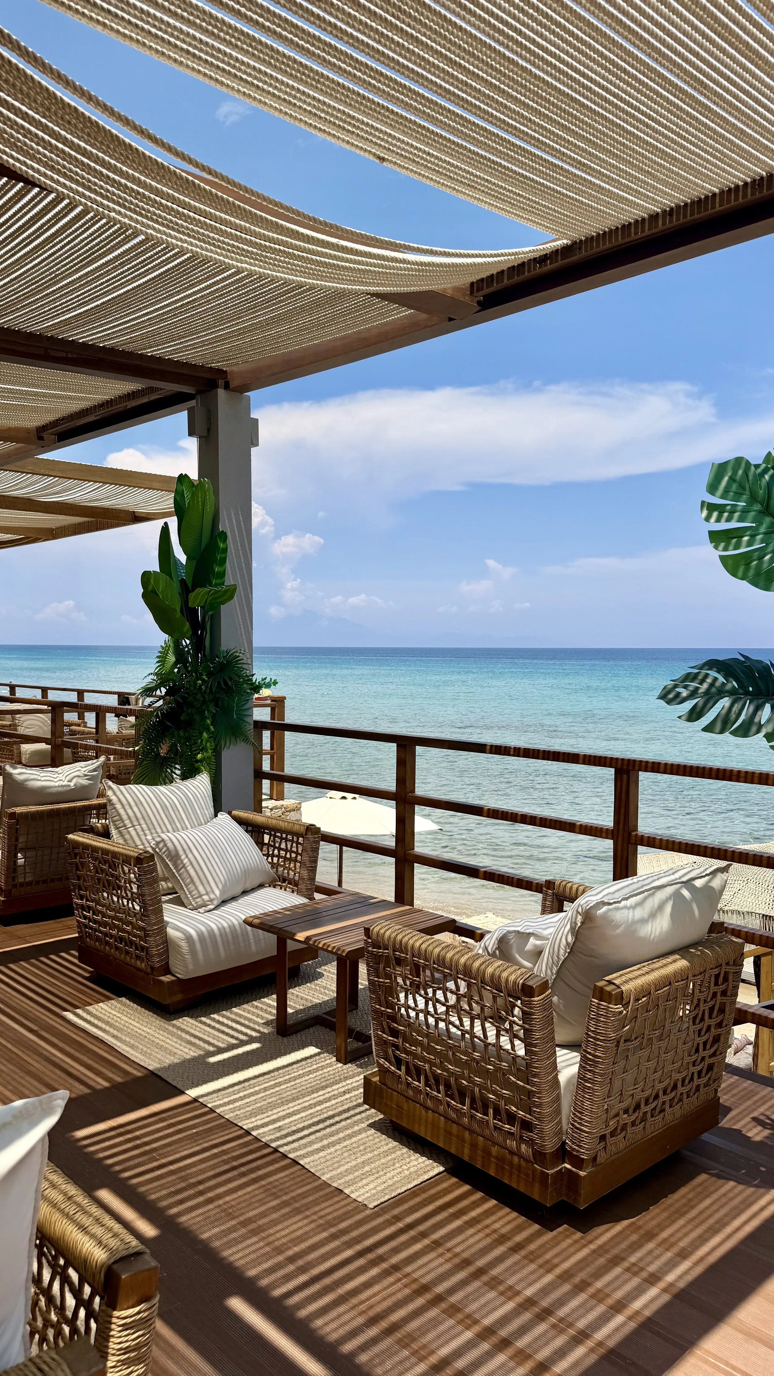 IMG_6621.jpg