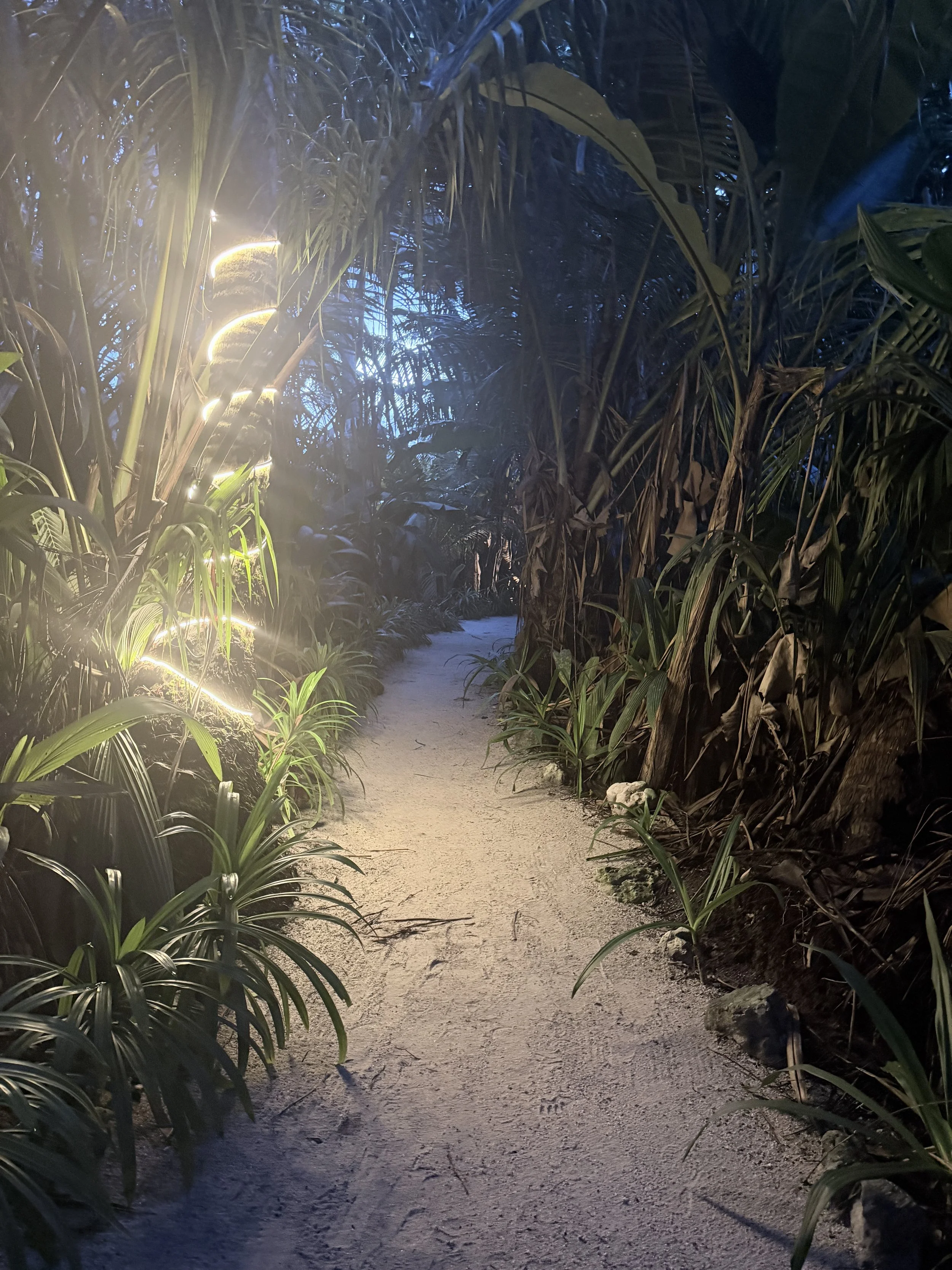 ILR nightwalk.jpg
