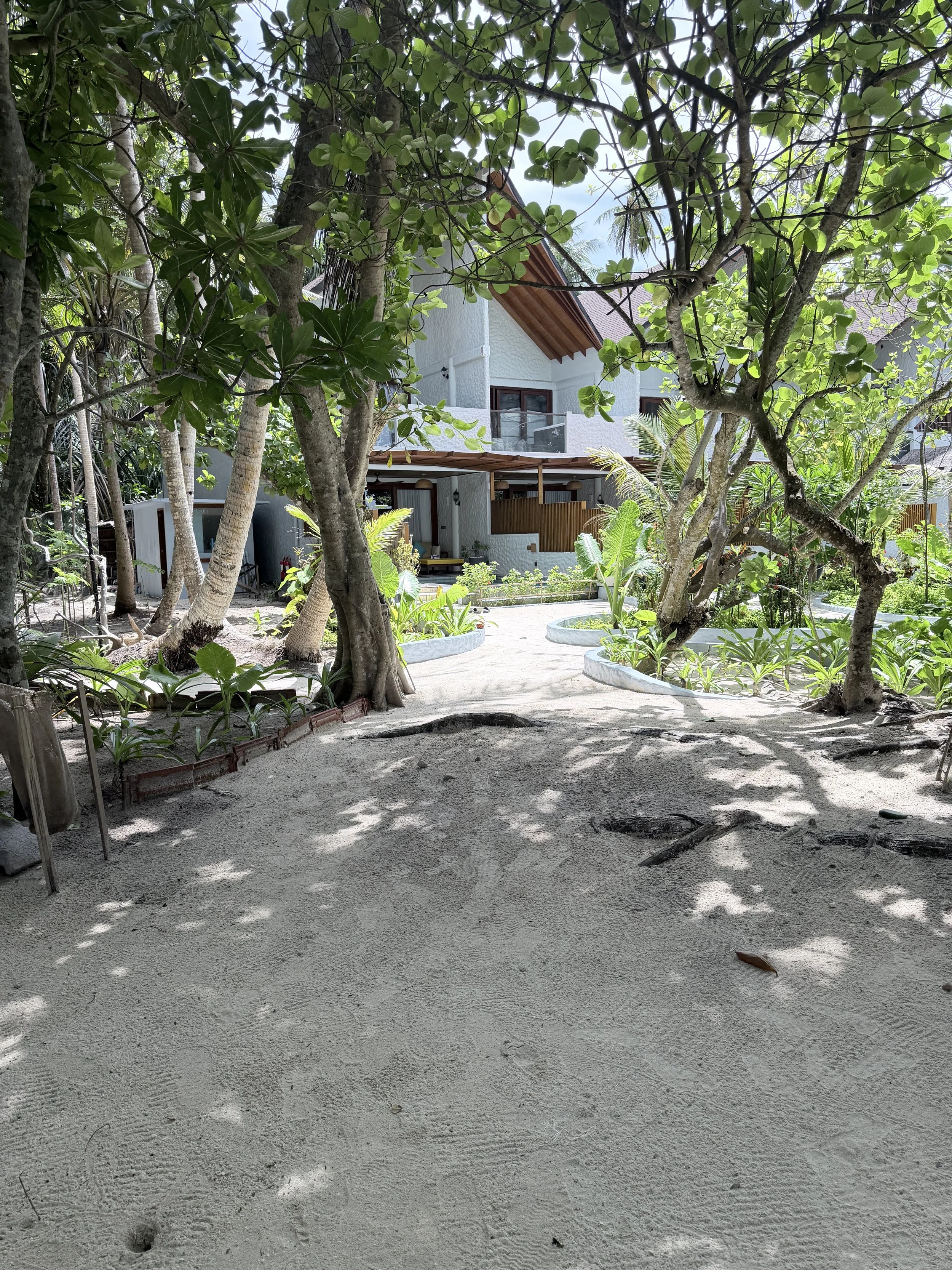 ILR villa from beach.jpg