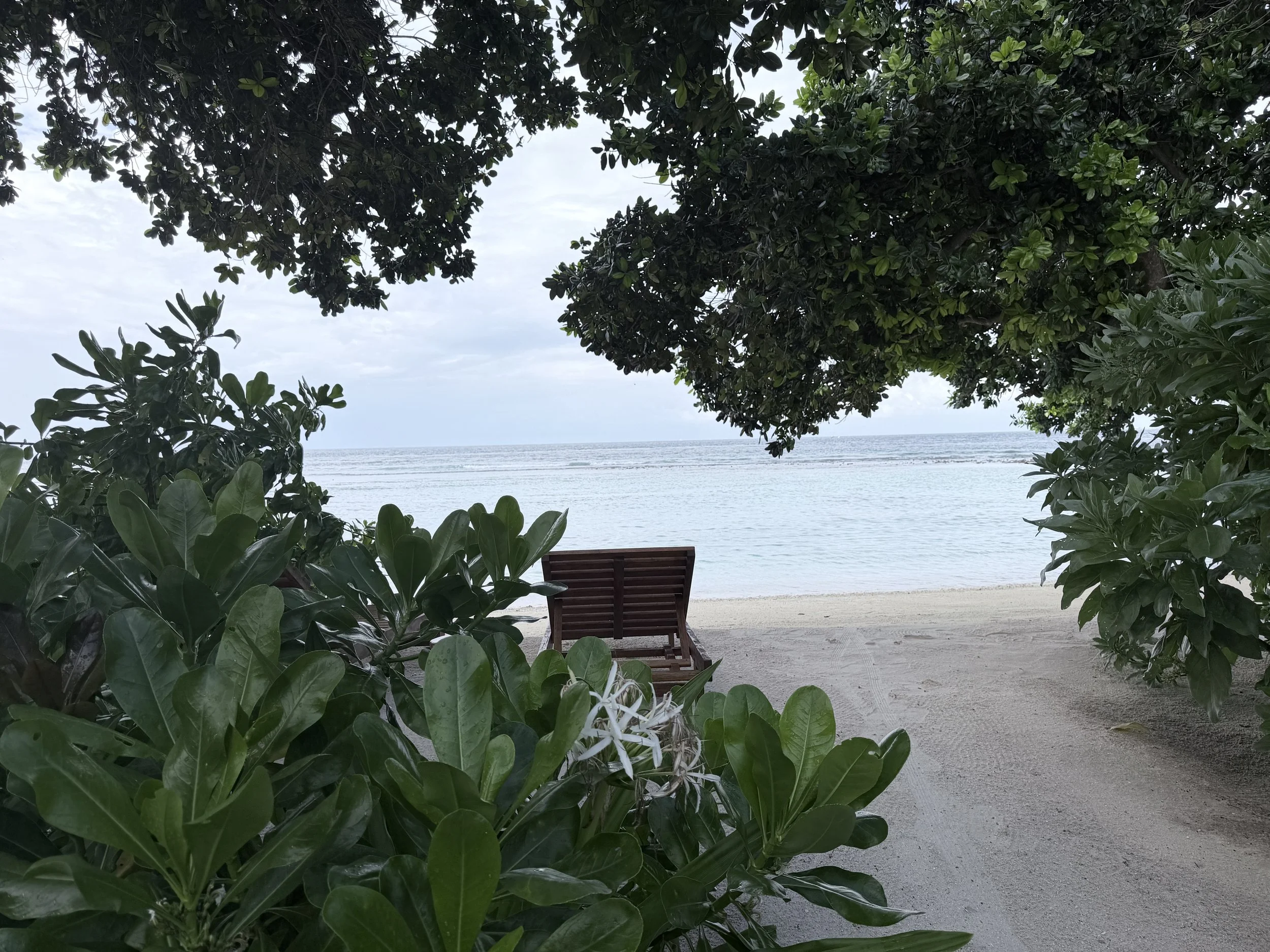 ILR beach 3.jpg
