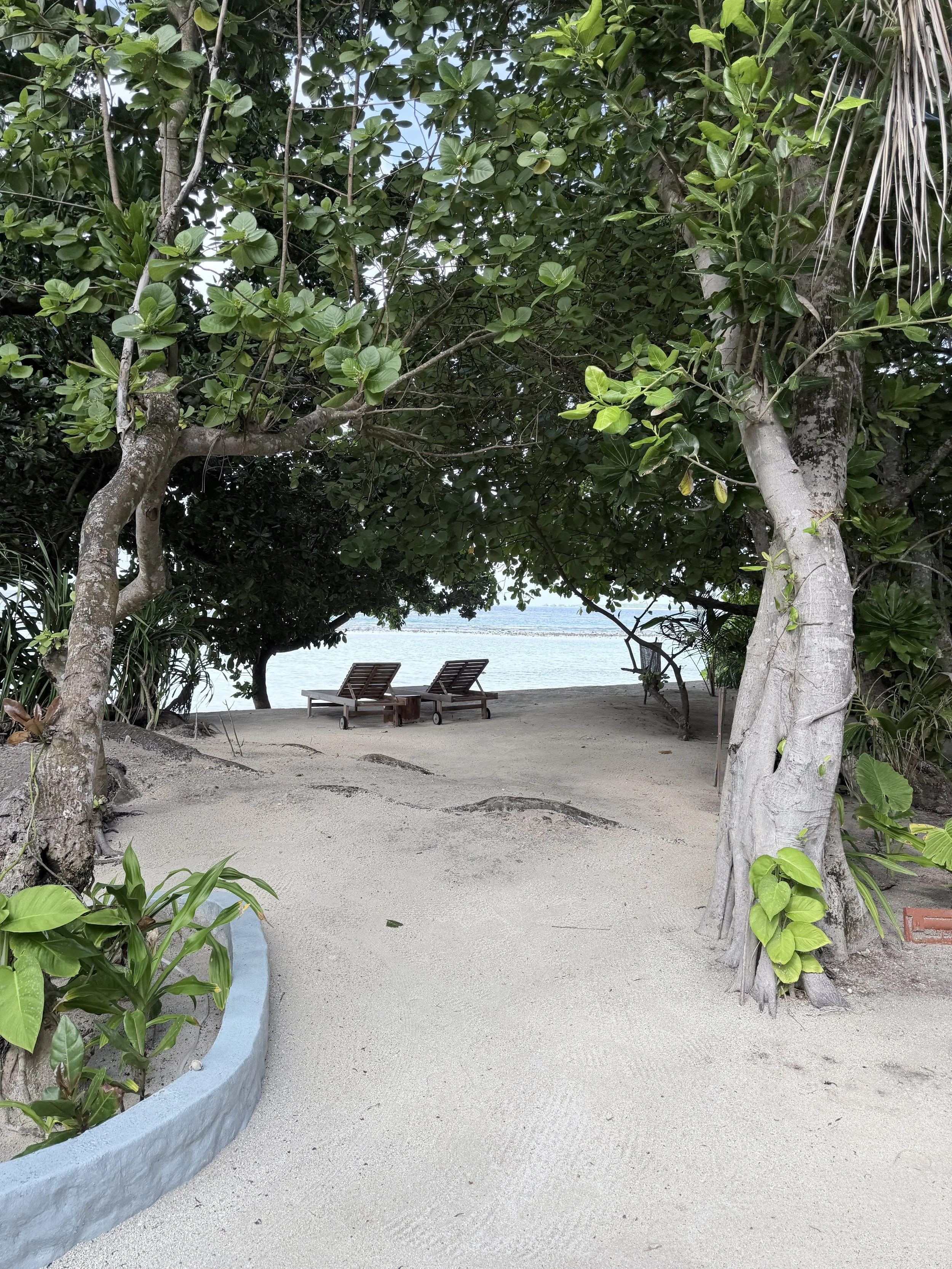 ILR beach 2.JPG
