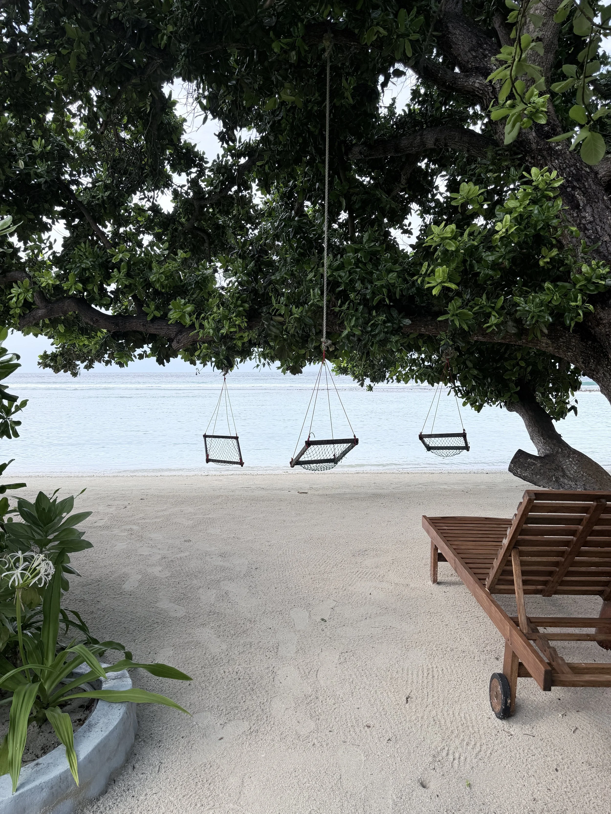 ILR swings (1).jpg