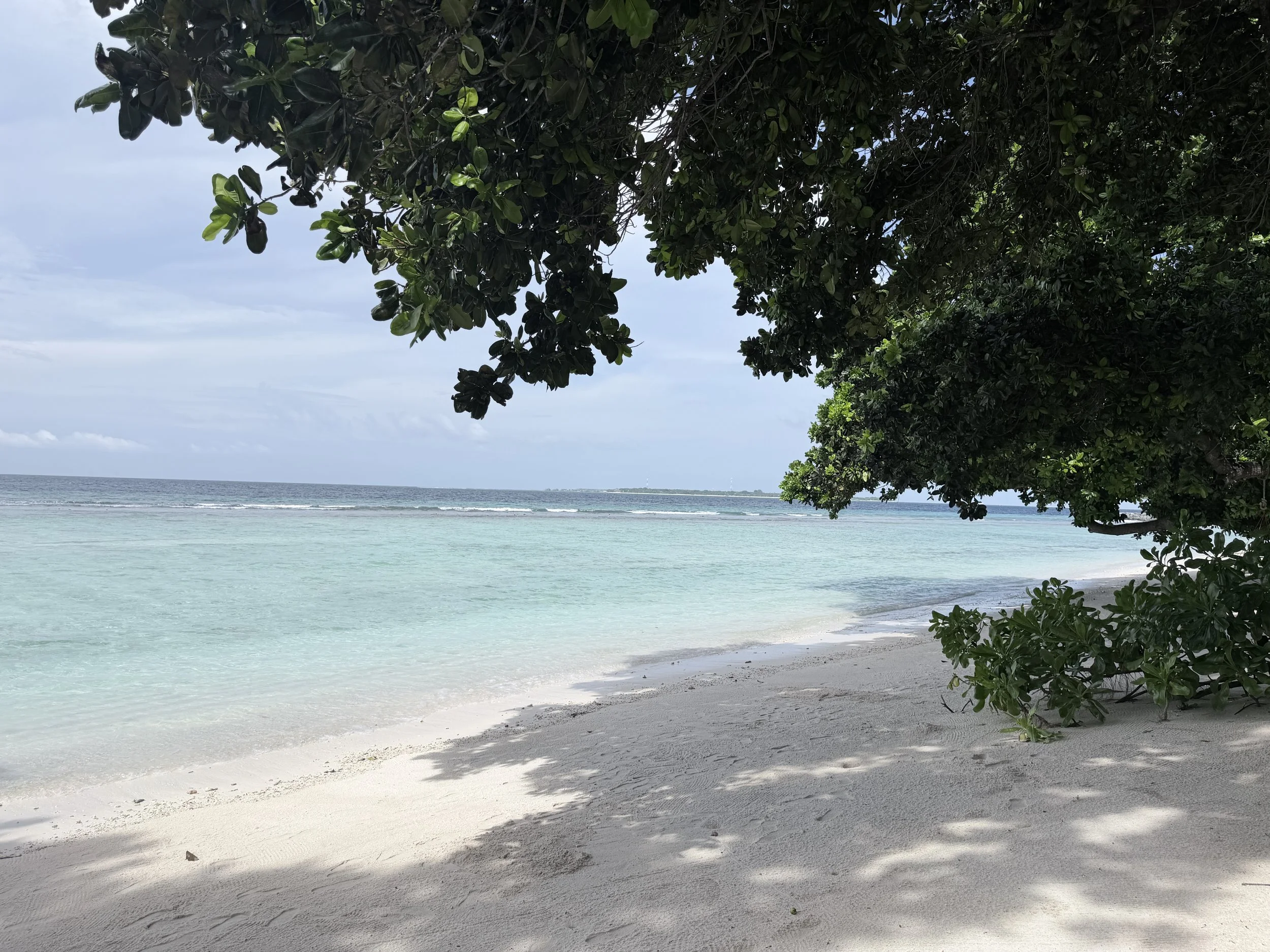 ILR beach 4.jpg