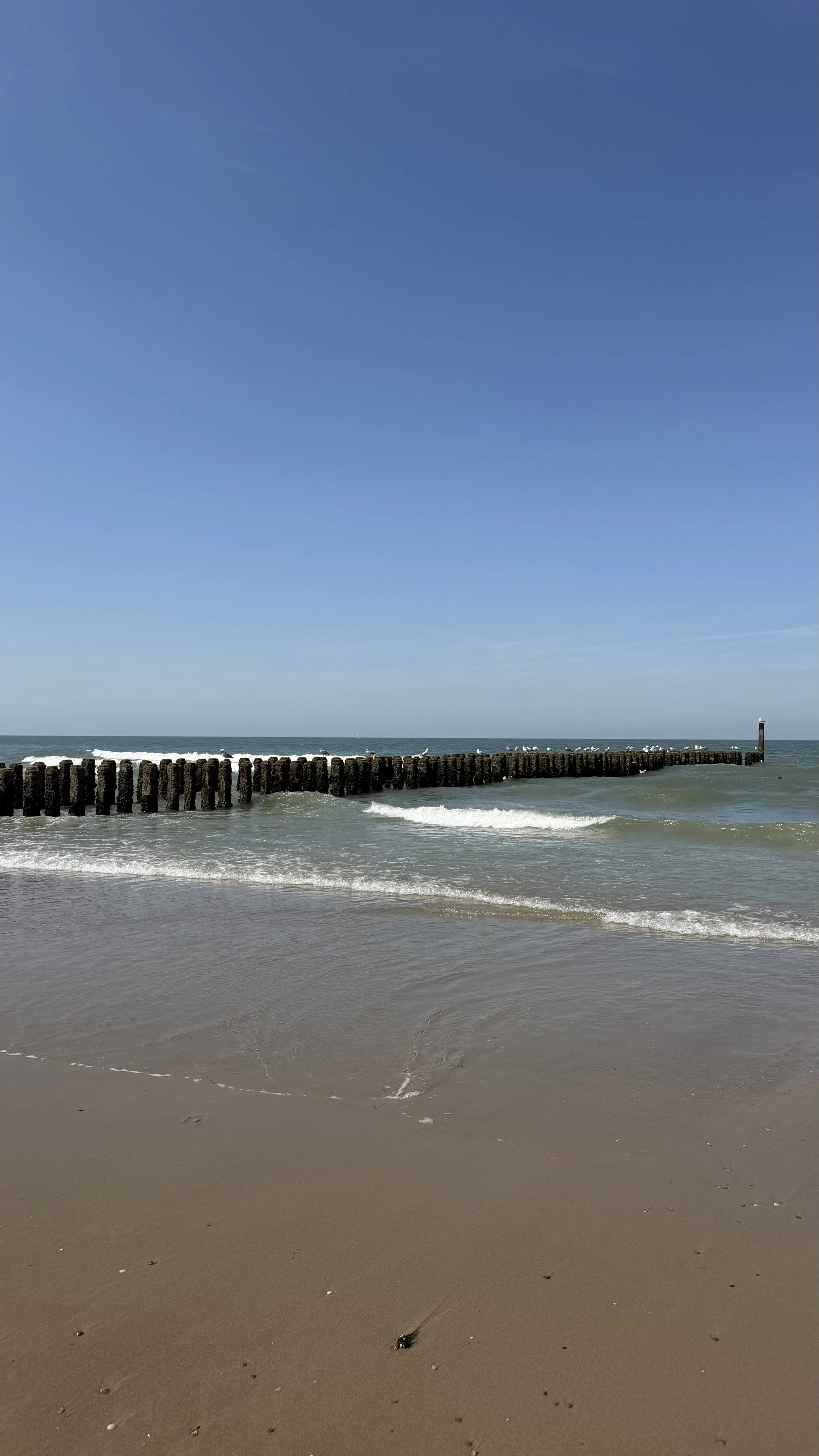 IMG_7917.jpg
