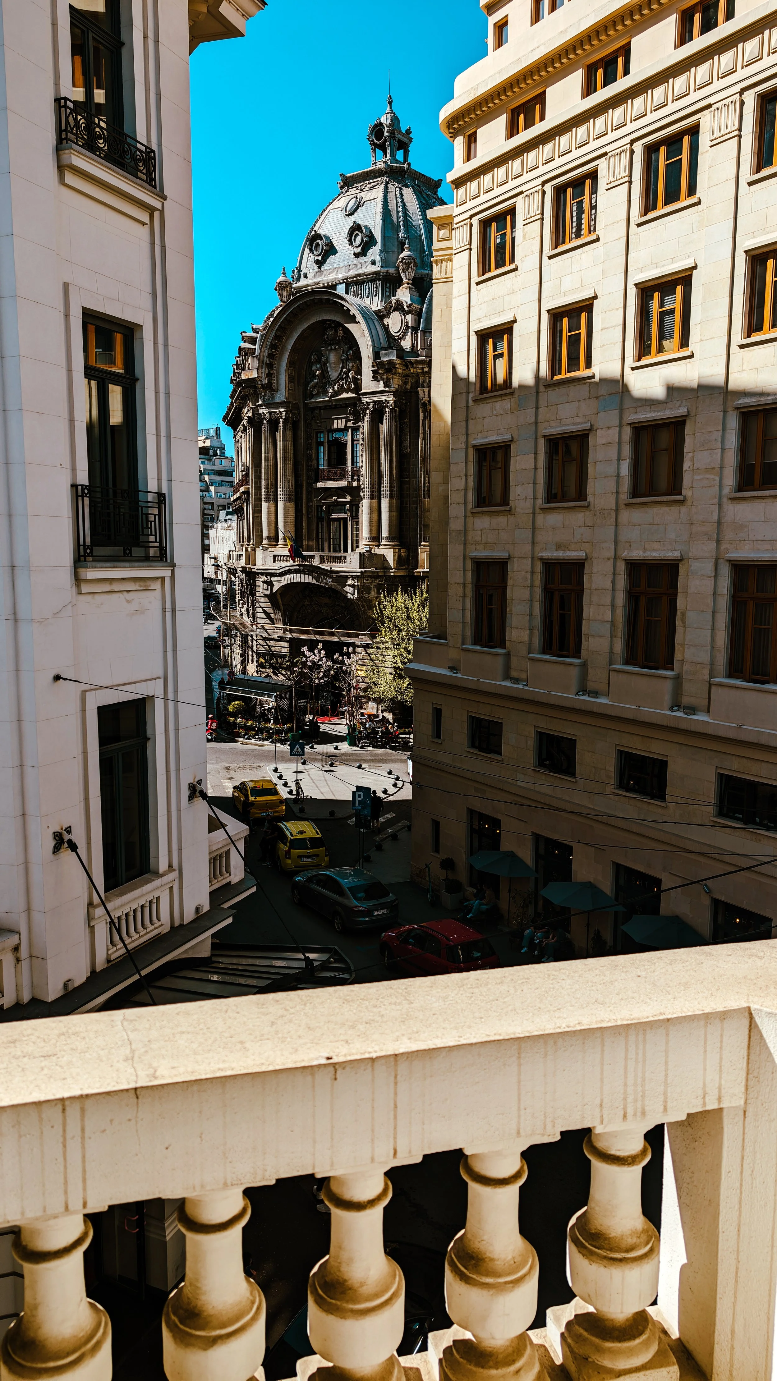 PXL_20240410_123149209.RAW-01.COVER_Original (1).jpg