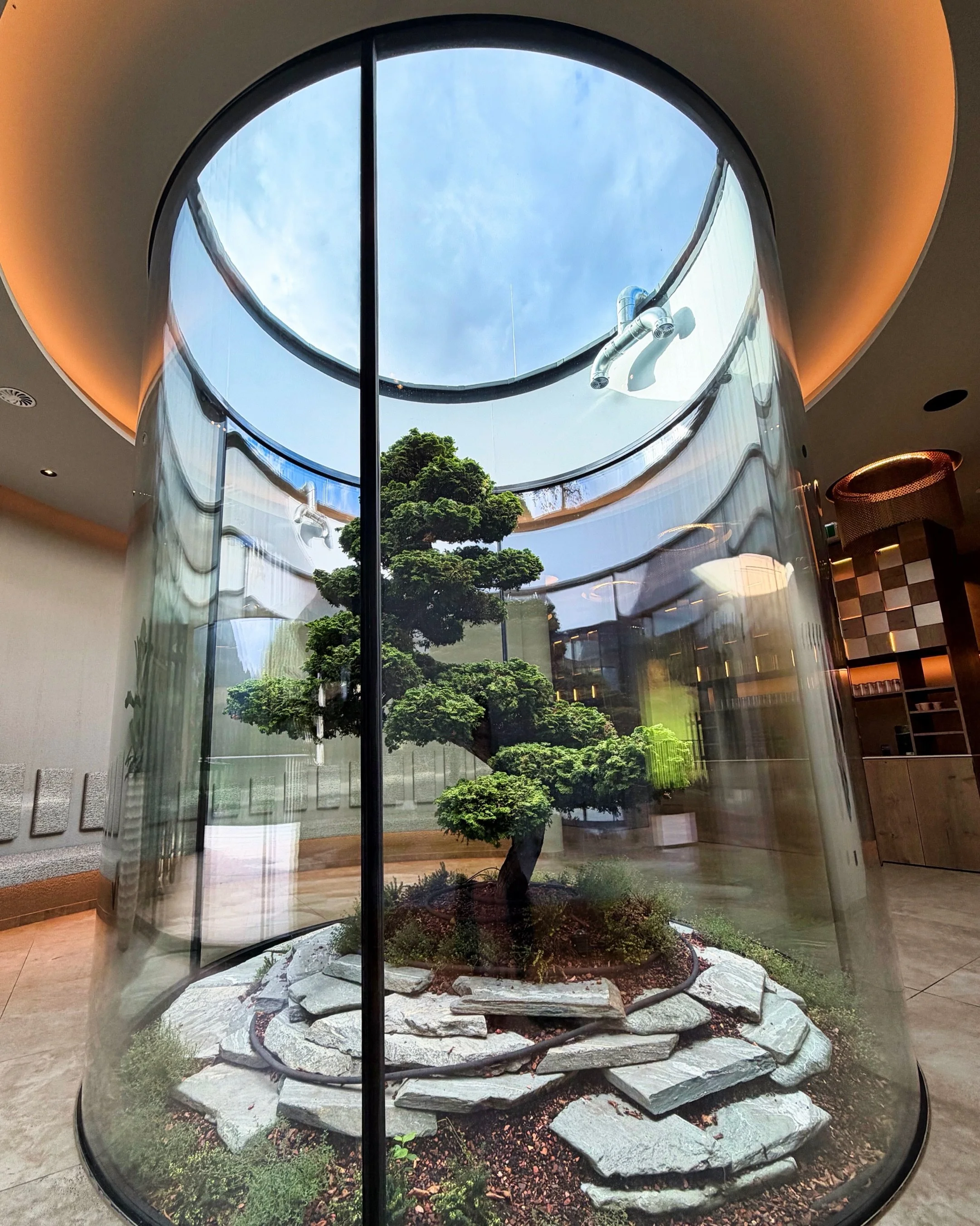 Some hotels impress with their facilities. Others with a feeling. @luerzerhof_luxury_nature_spa manages to do both.

From the very first moment, you can feel this special warmth. The service team truly anticipates every wish, and the owner family is 