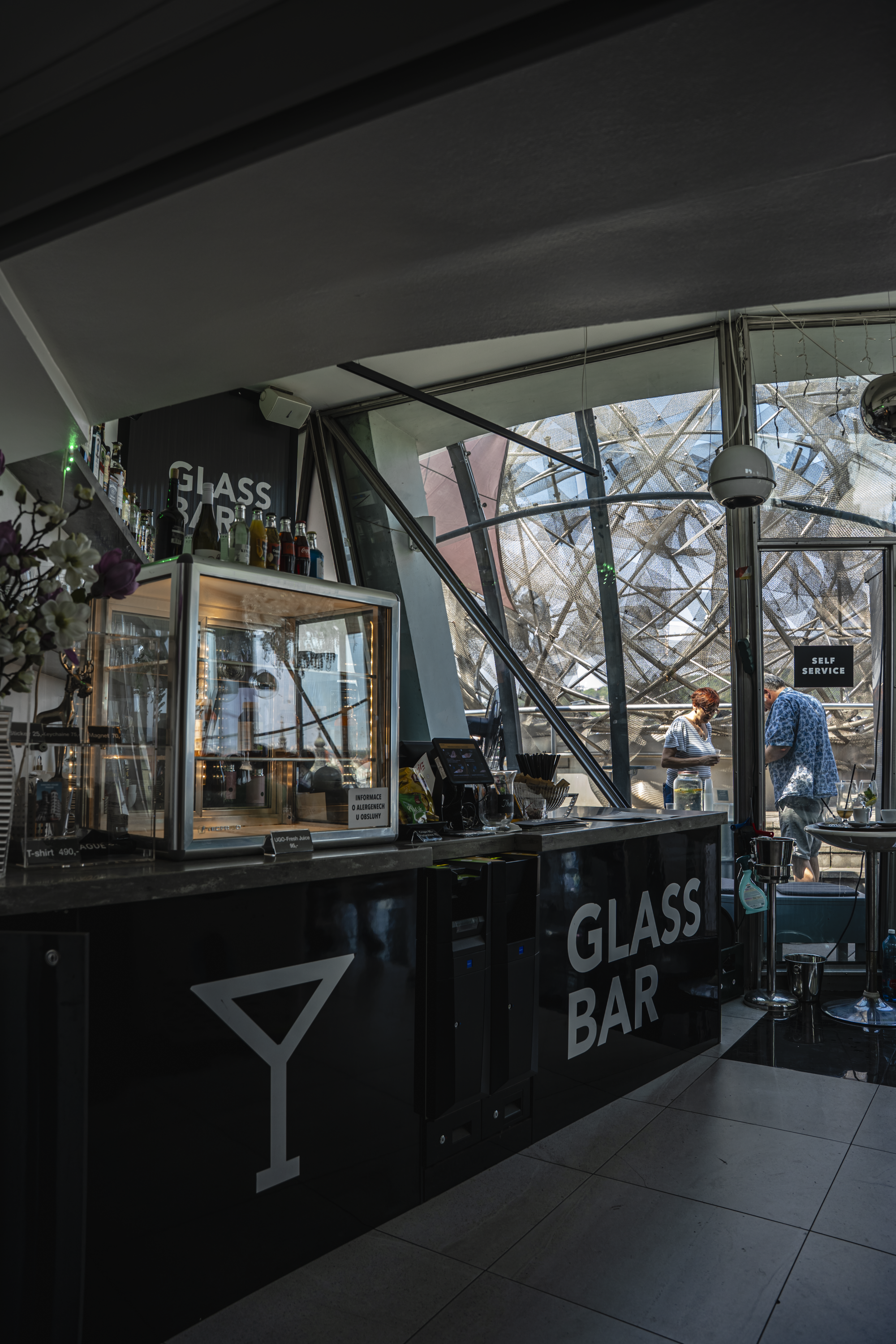 Dancing House-15 (1).png