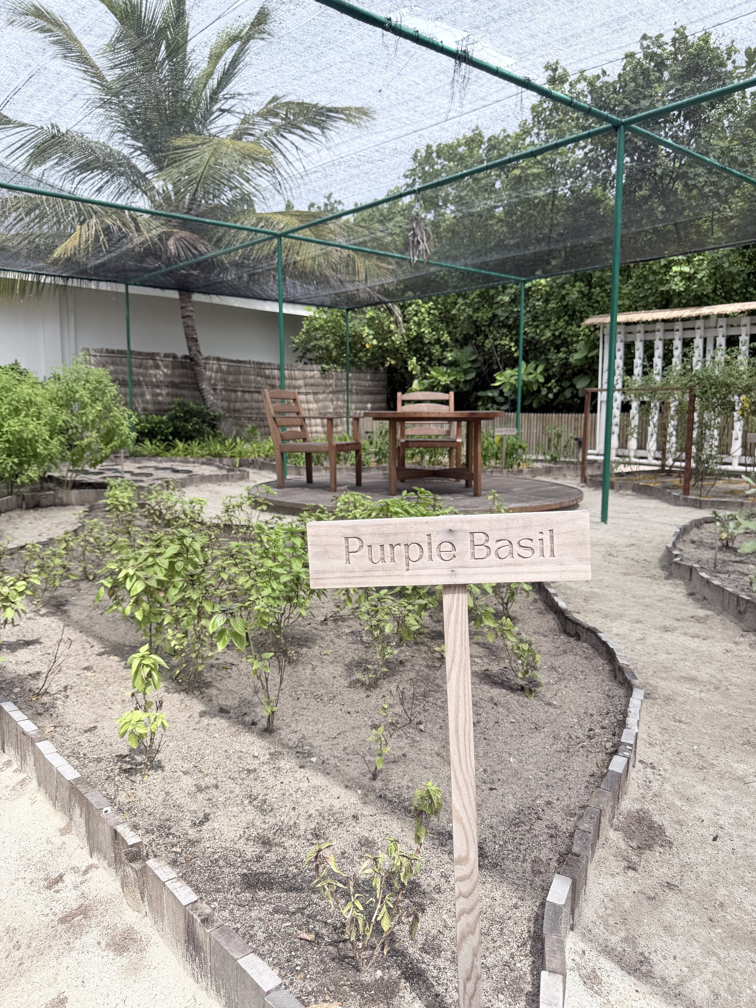 chefsgarden2.JPG