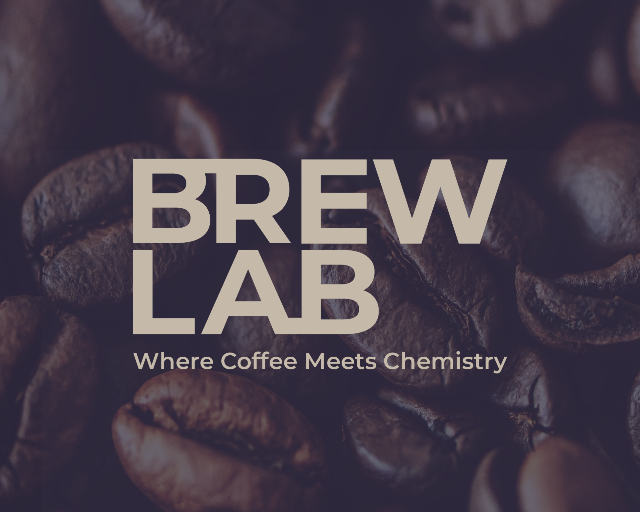Brew Lab Brand Identity case study by Studio Rugha — Studio Rugha
